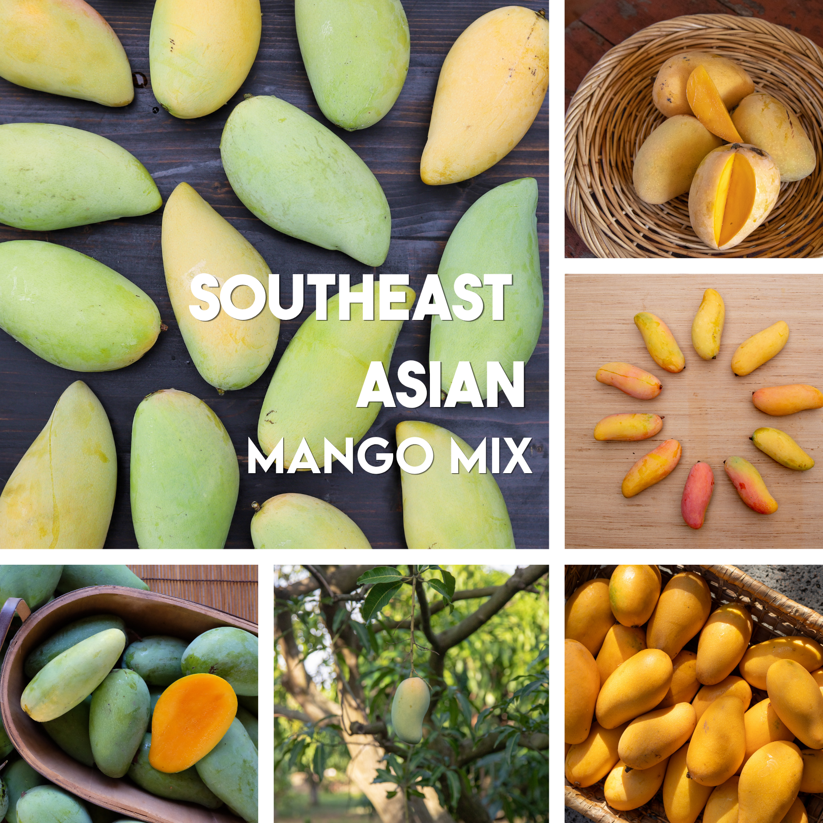 se asian.png