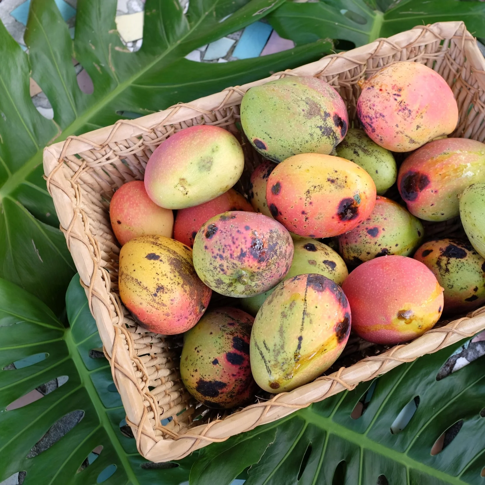 Fruit for Saturday, April 1, 2017