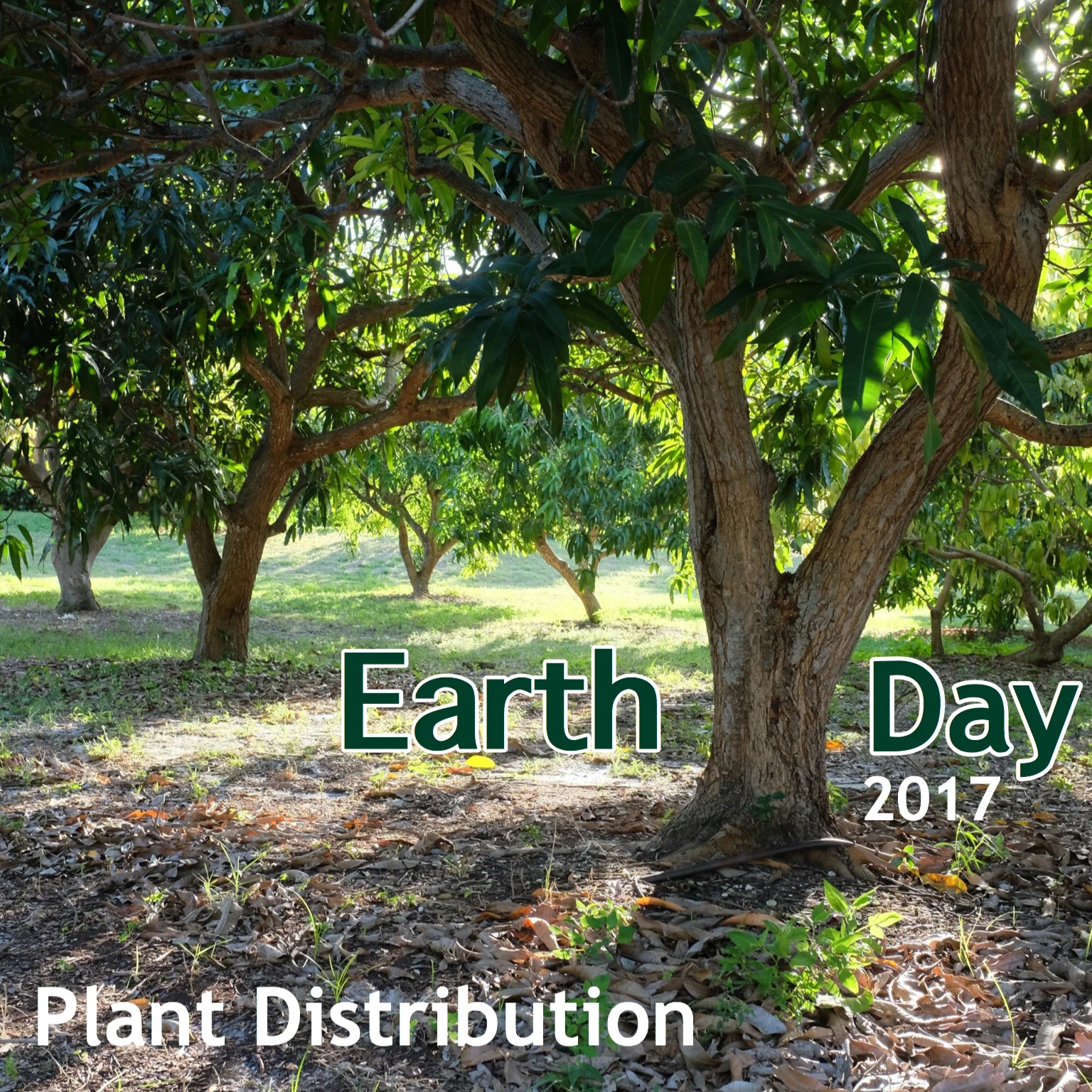 Earth Day Celebration at Truly Tropical!