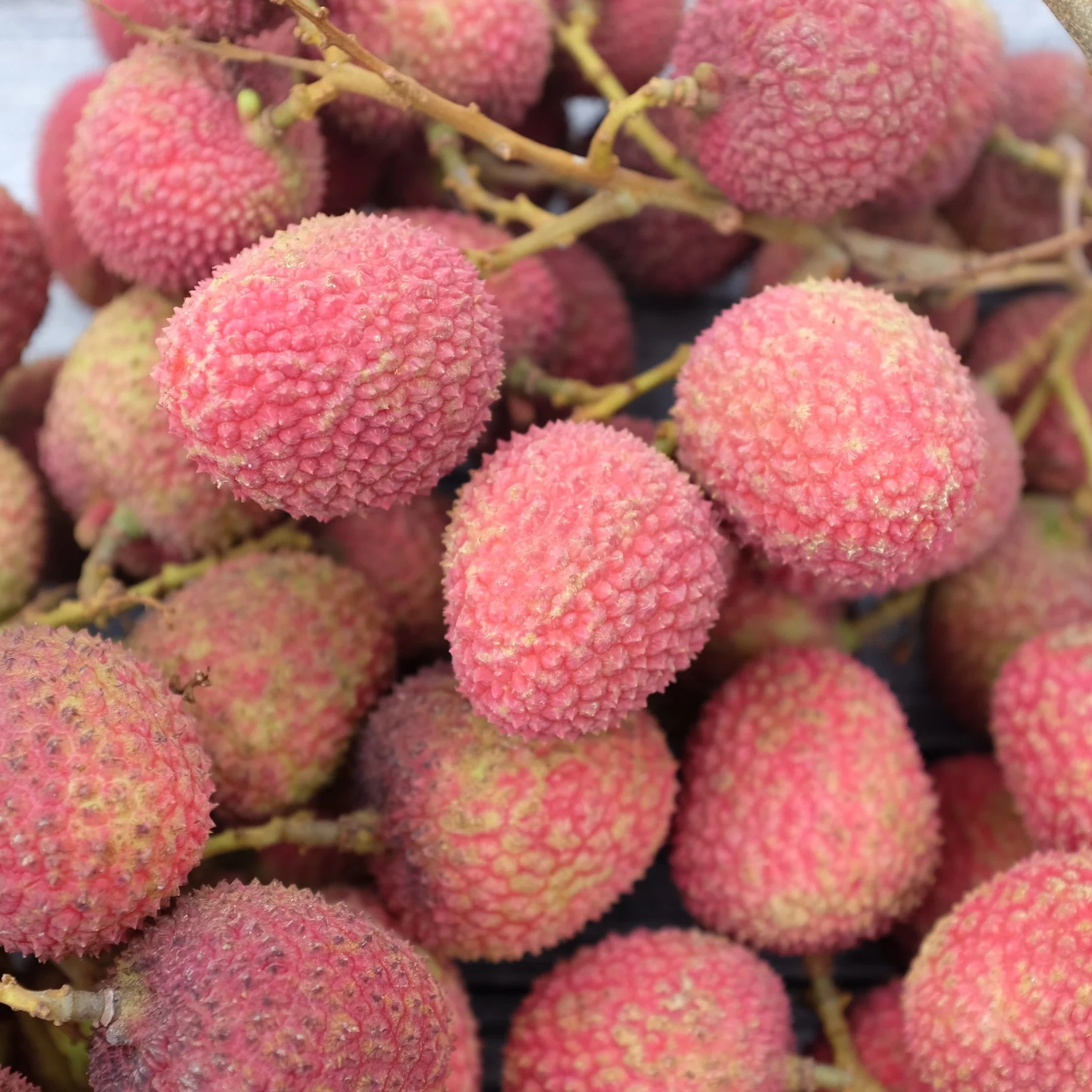 Fruit for Thursday June 15, 2017