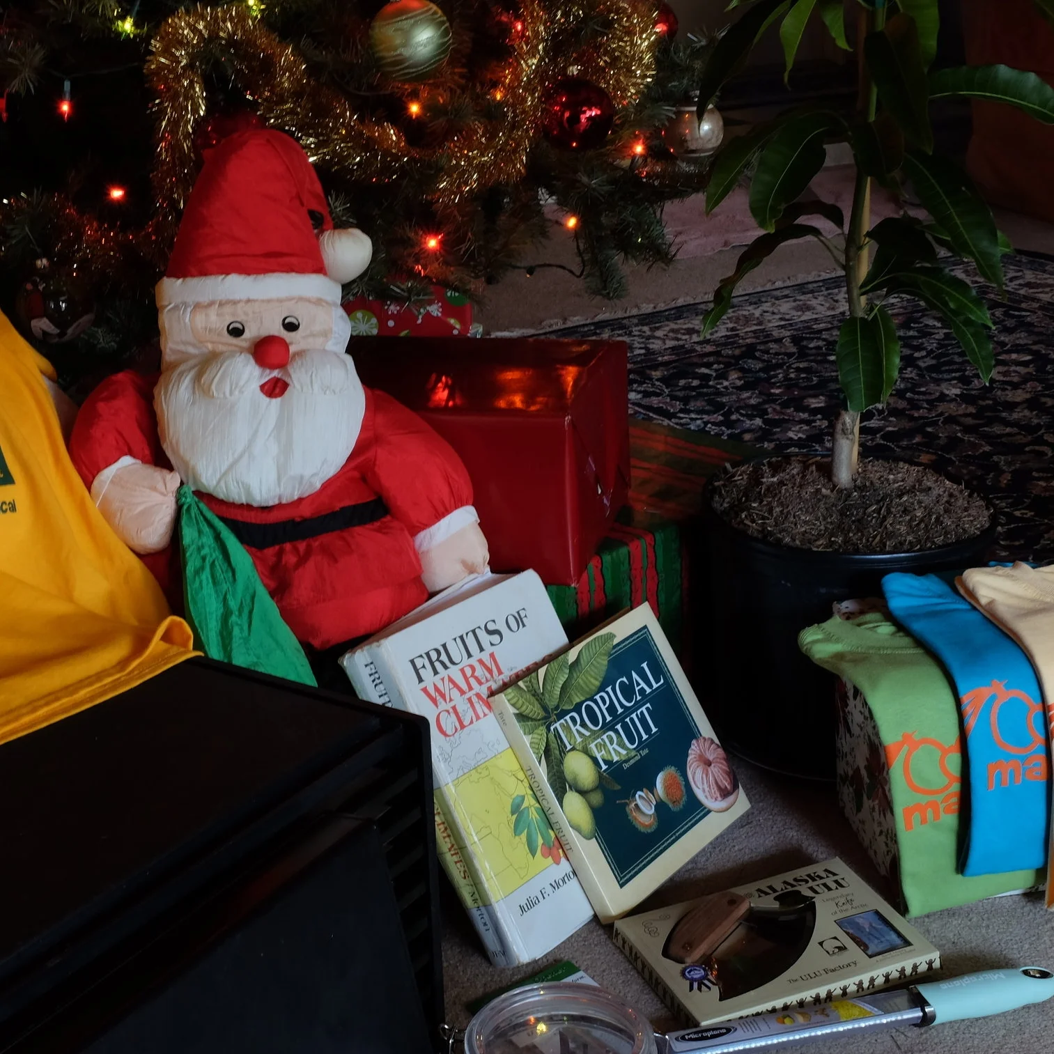 Holiday Gift Ideas for Tropical Fruit Lovers!