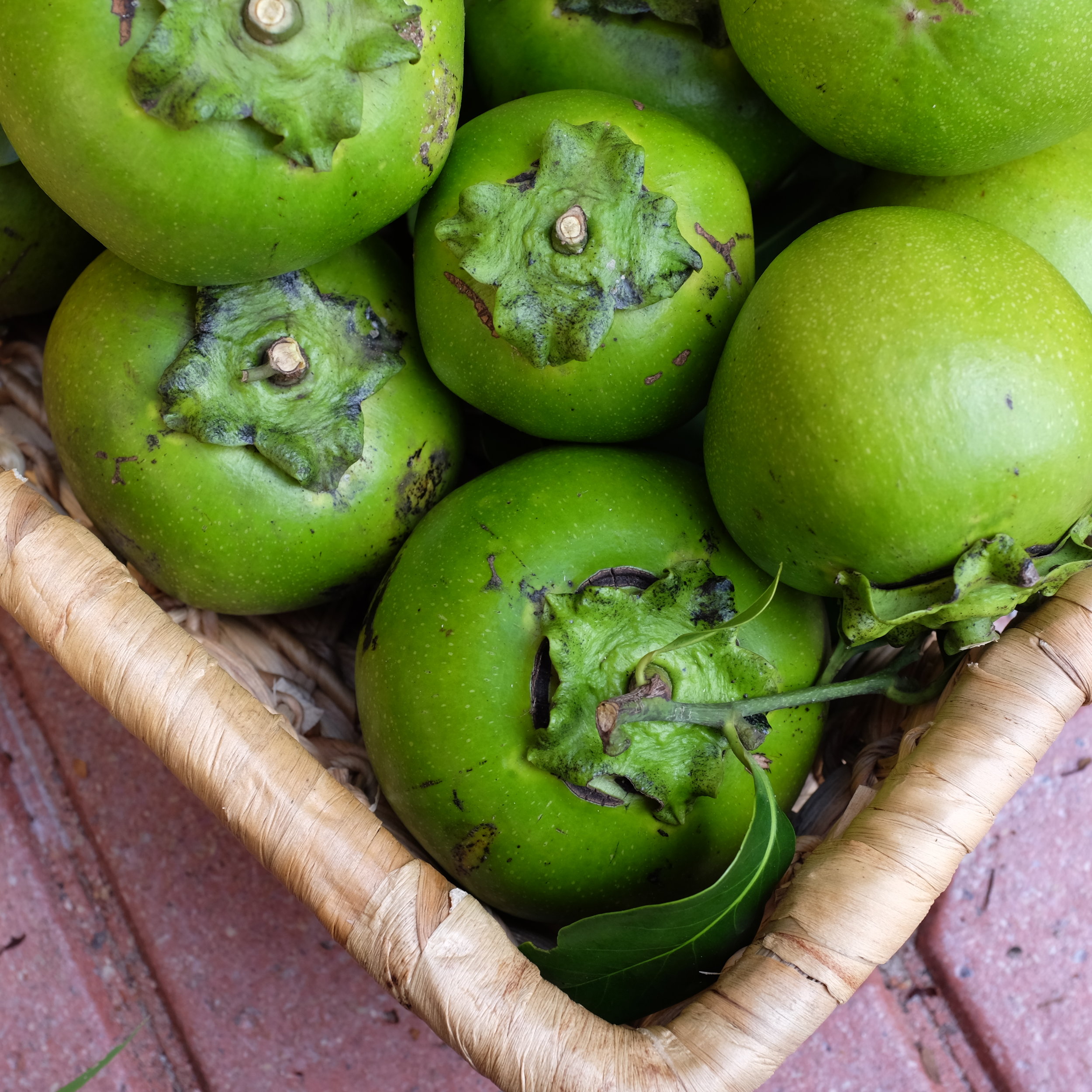 Fruit for Saturday, December 9, 2017