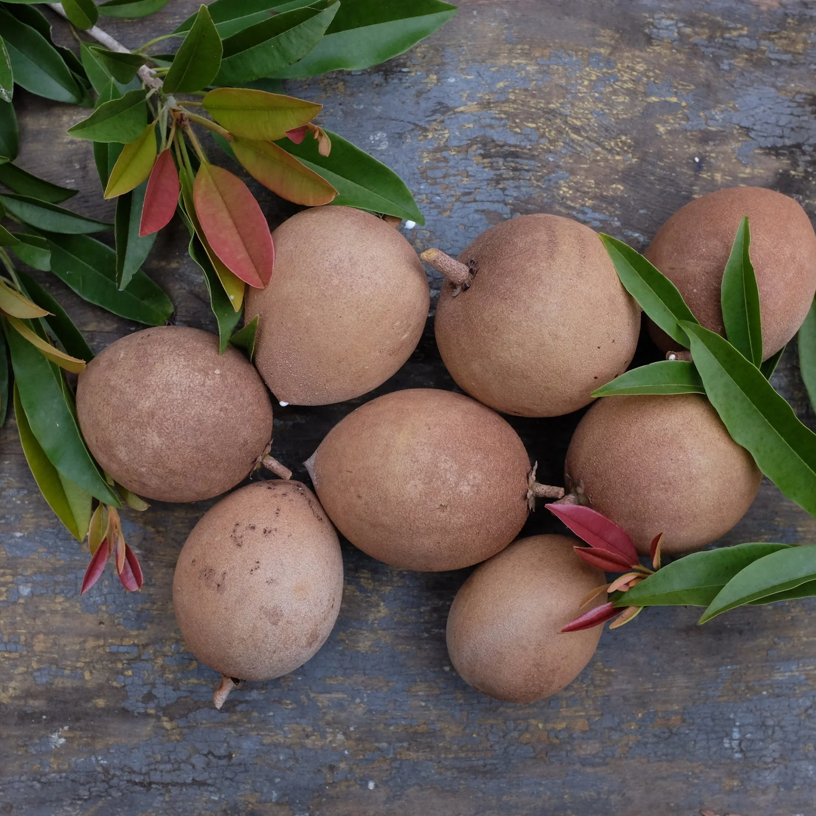 Fruit for Saturday, February 10, 2018