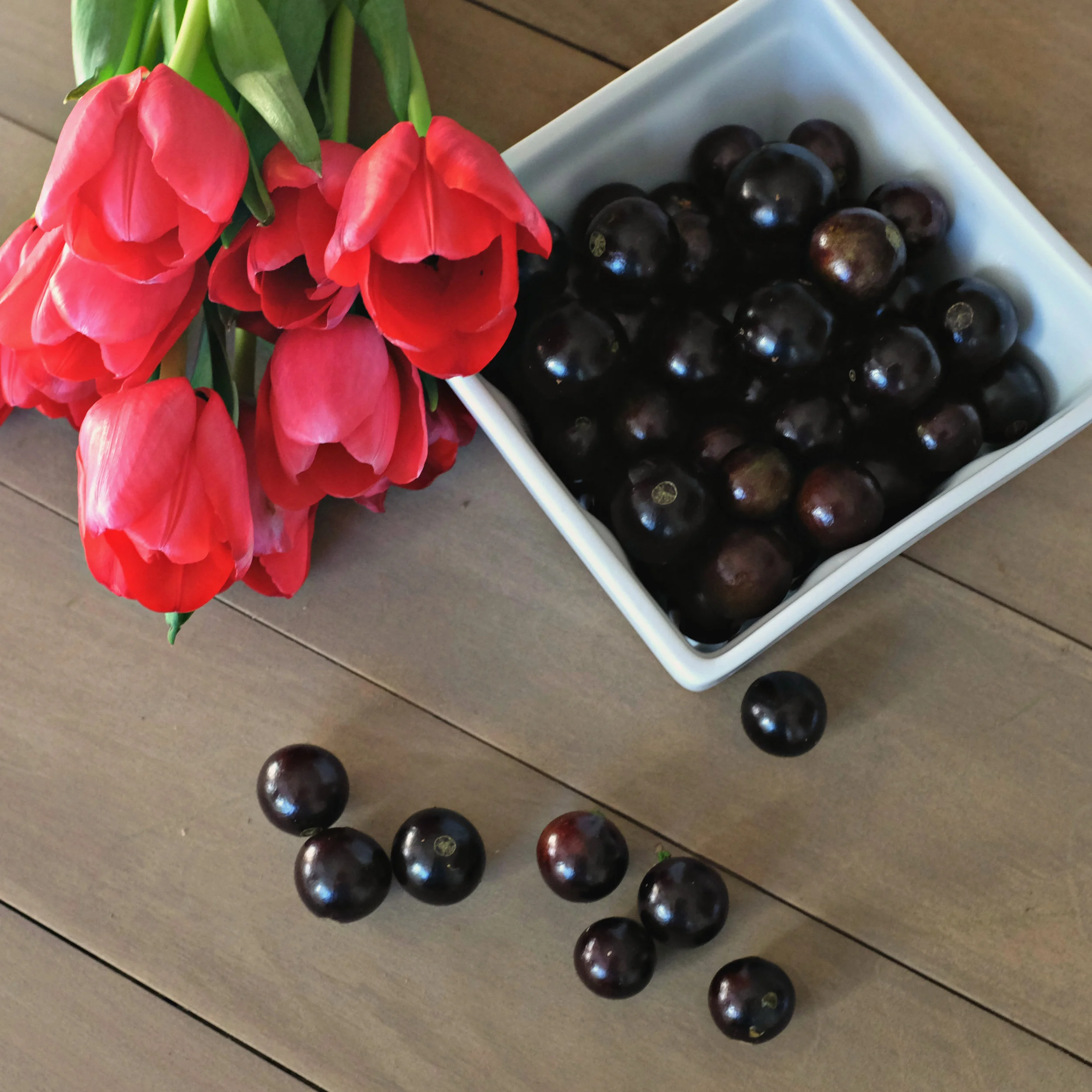 Jaboticaba for Saturday, February 24, 2018