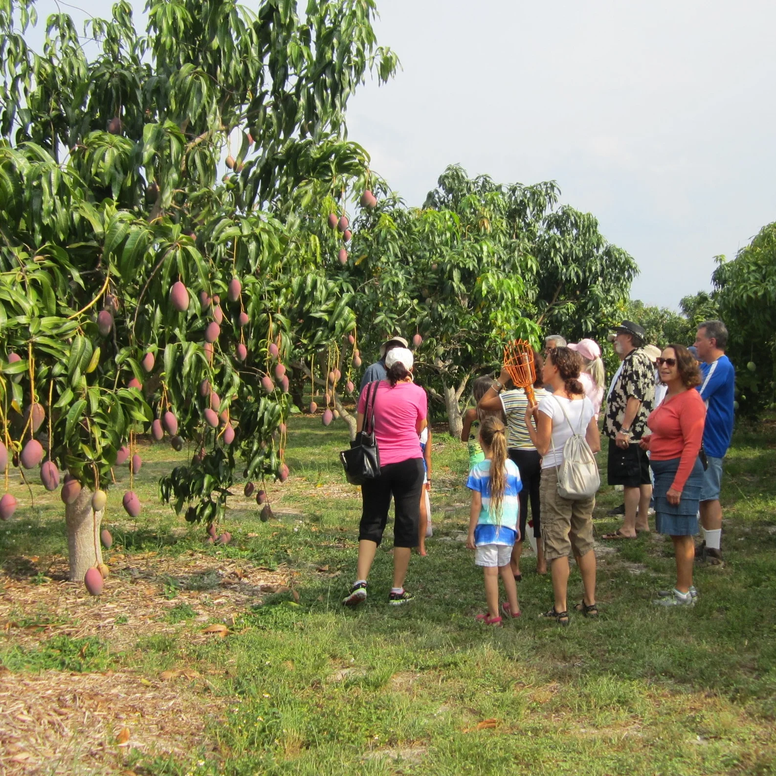 First Fruit Picking Tours of 2018!