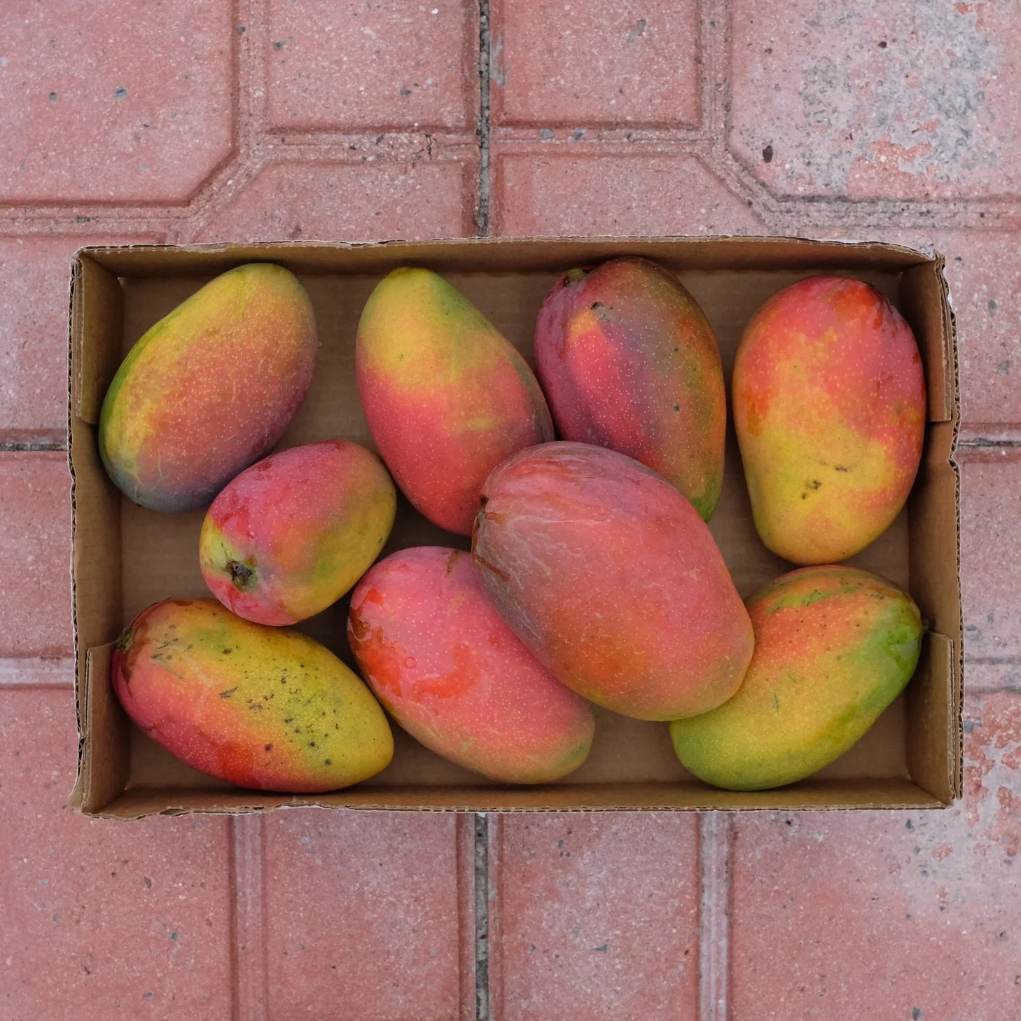 Fruit for Saturday, May, 19, 2018