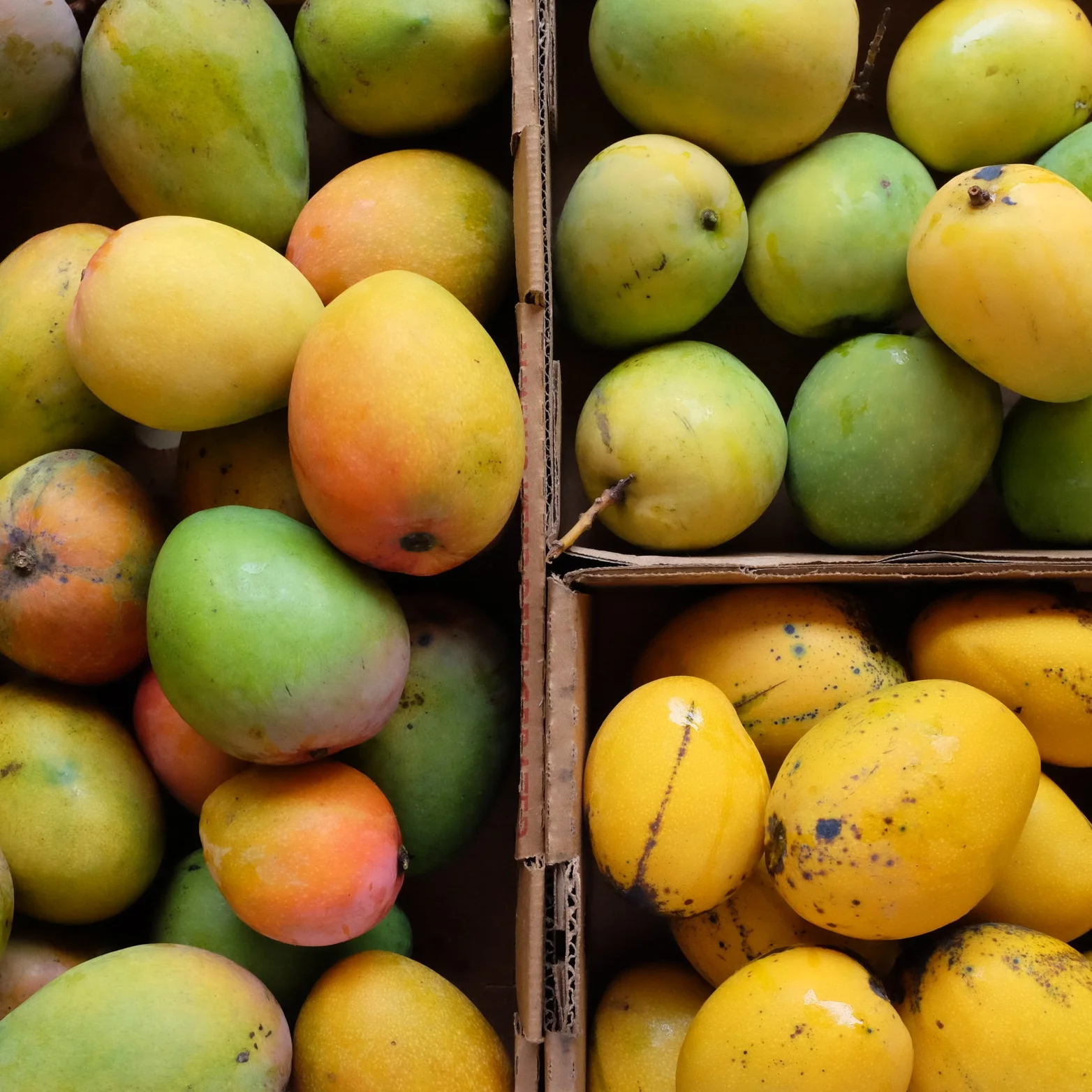 Mangos for Wednesday, May 30, 2018