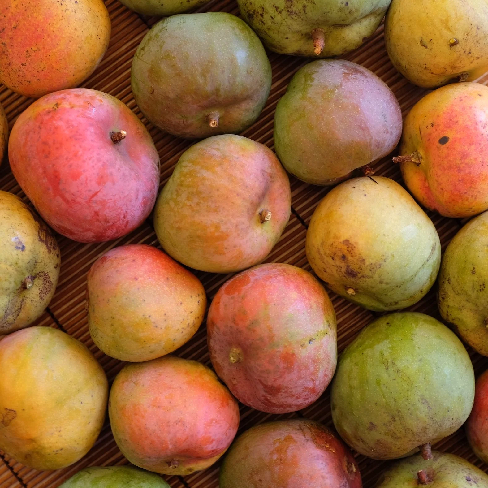 Mangos for Tuesday, June 5, 2018