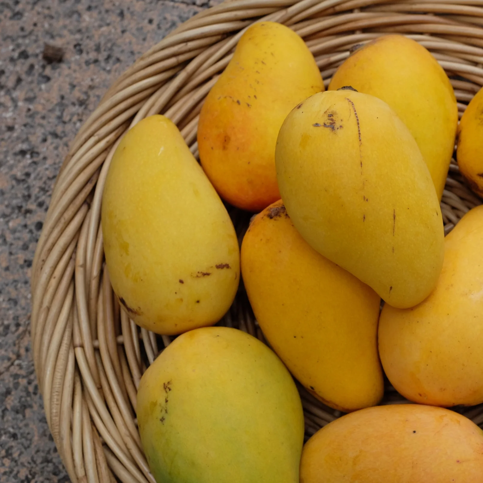 Mangos for Tuesday, June 12, 2018 and New Tour Dates