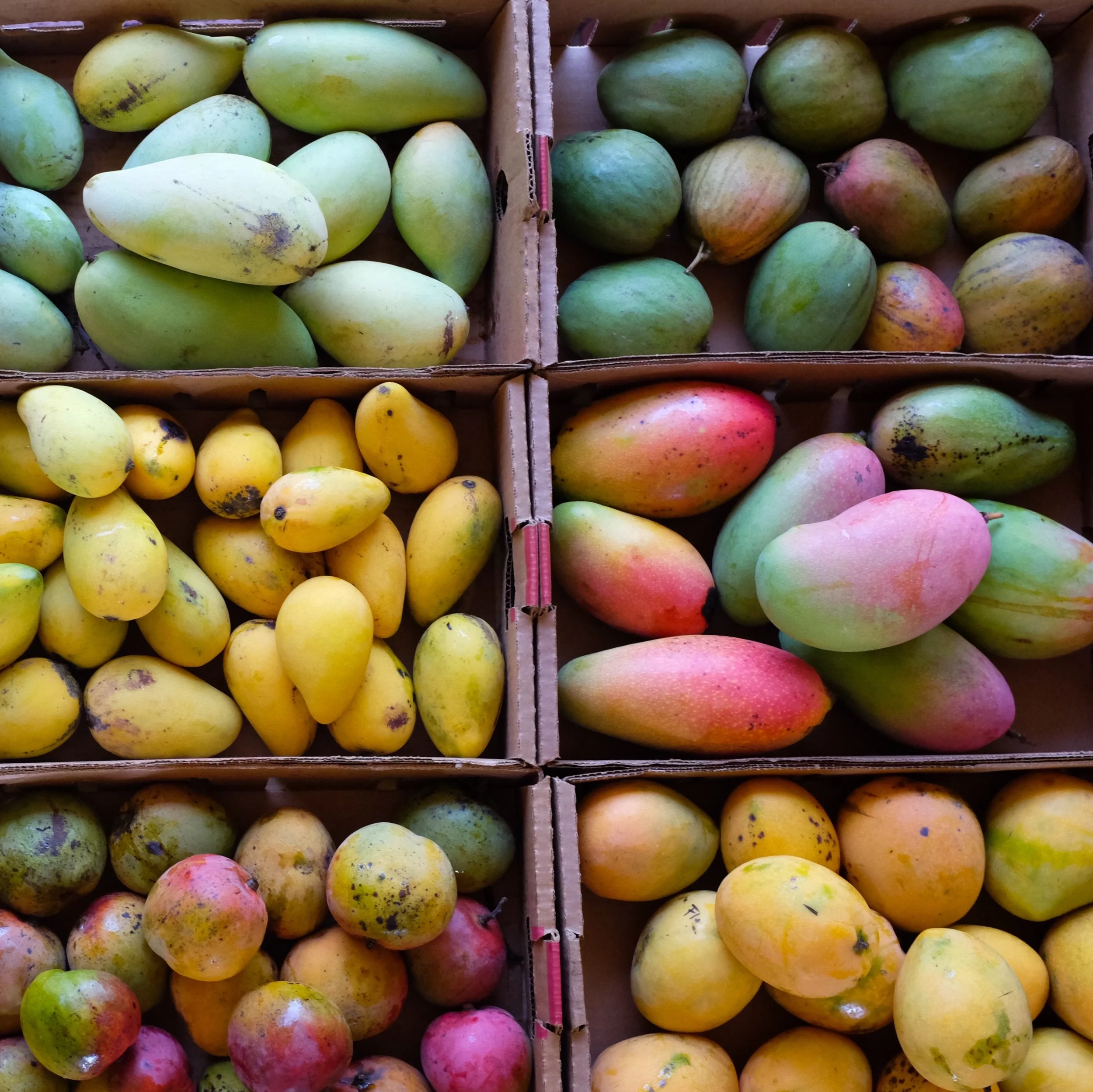 Fruit for Saturday, June 23, 2018