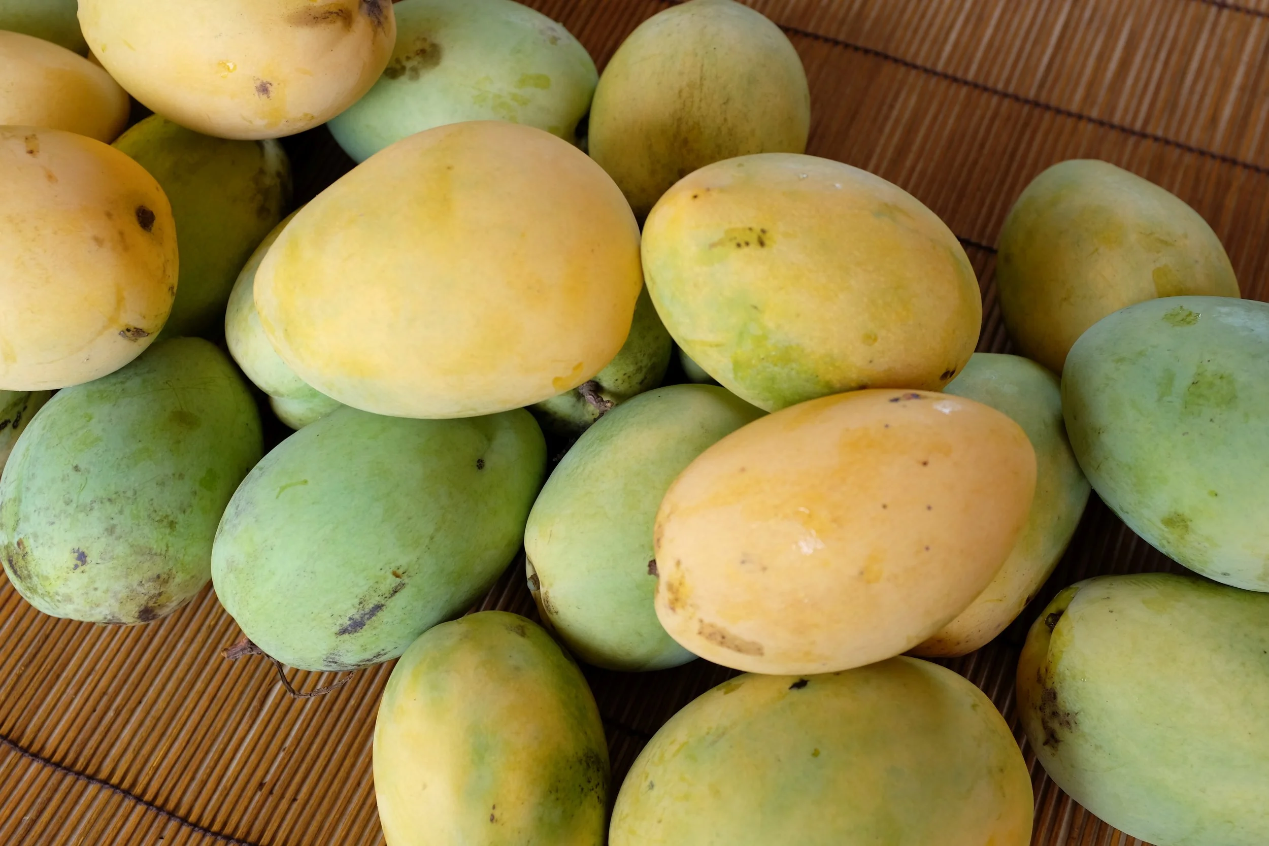 We have a great selection of 'Duncan' Mangos!