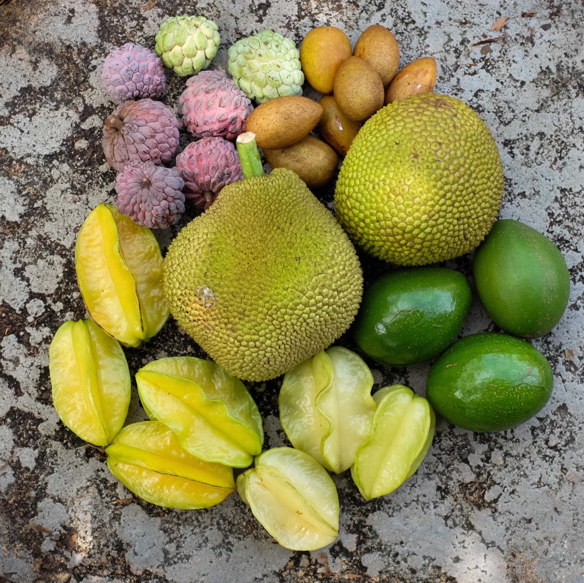 Fruit for Saturday, September 8, 2018