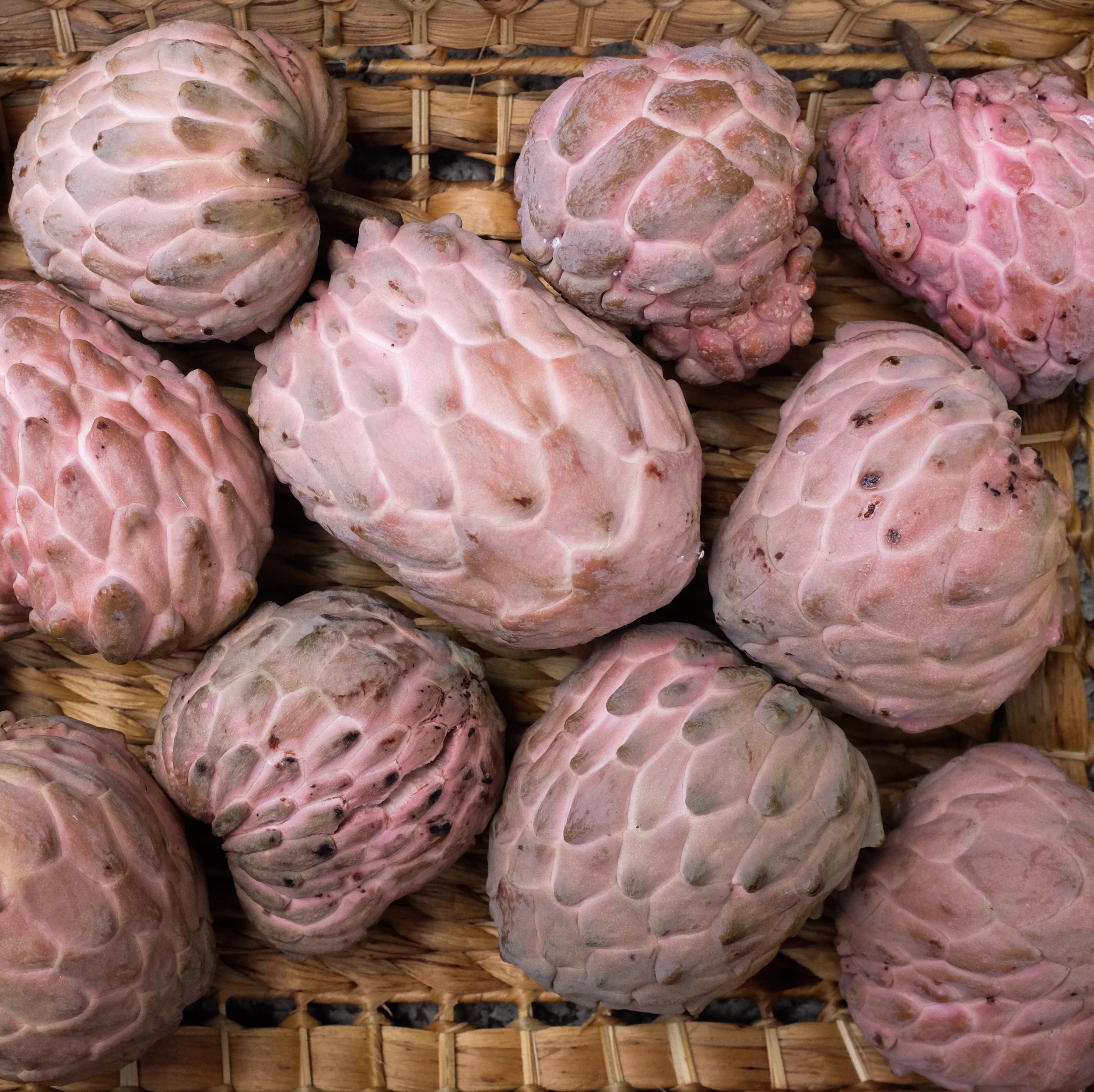 Fruit for Saturday, September 15, 2018