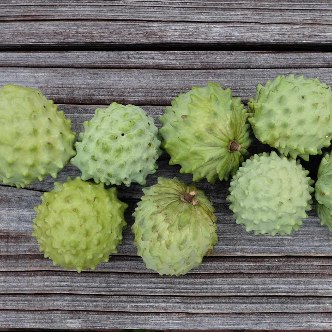 Fruit for Saturday, September 22, 2018