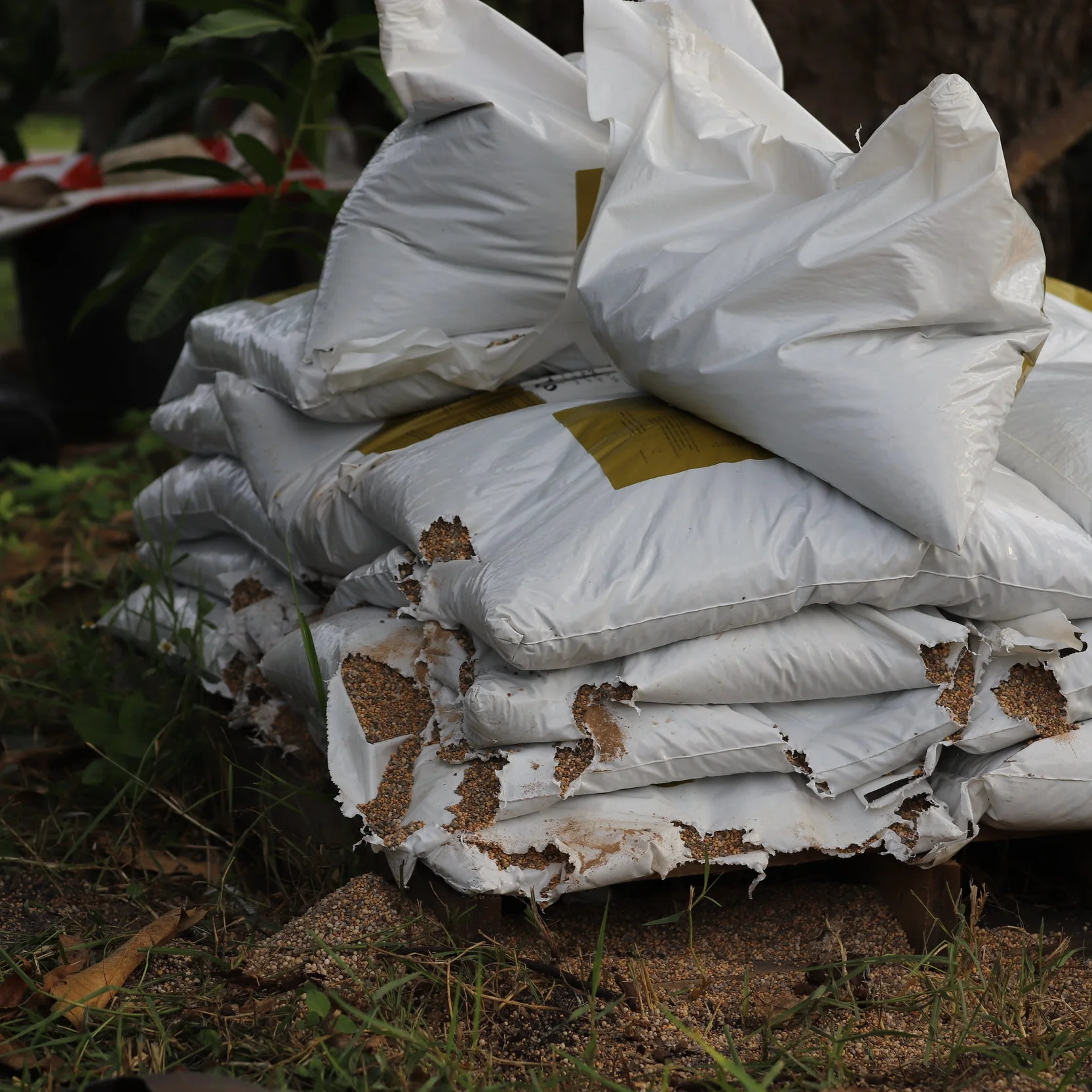 Fertilizer Special this Saturday!