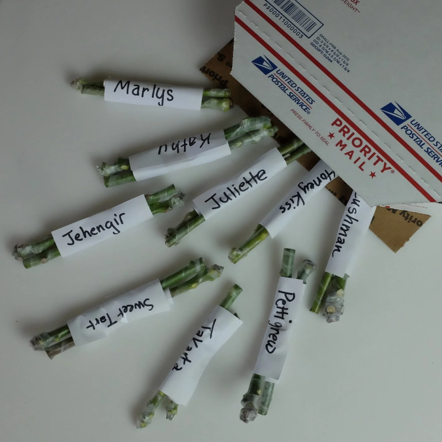 Schedule for Shipping Scions