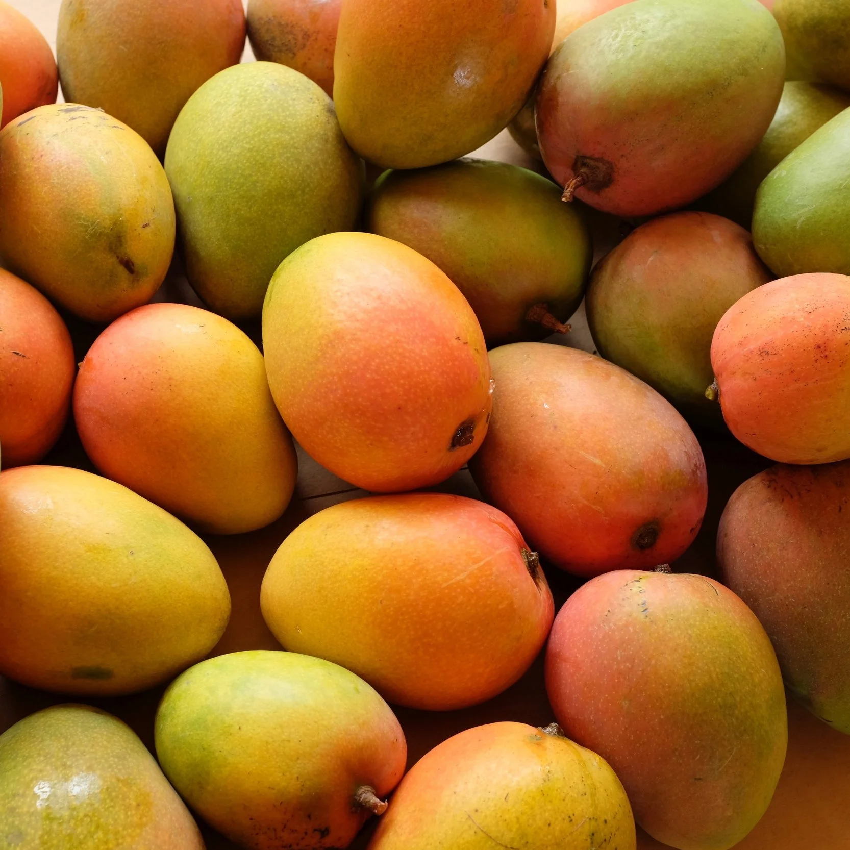 Mangos for Wednesday, May 22, 2019