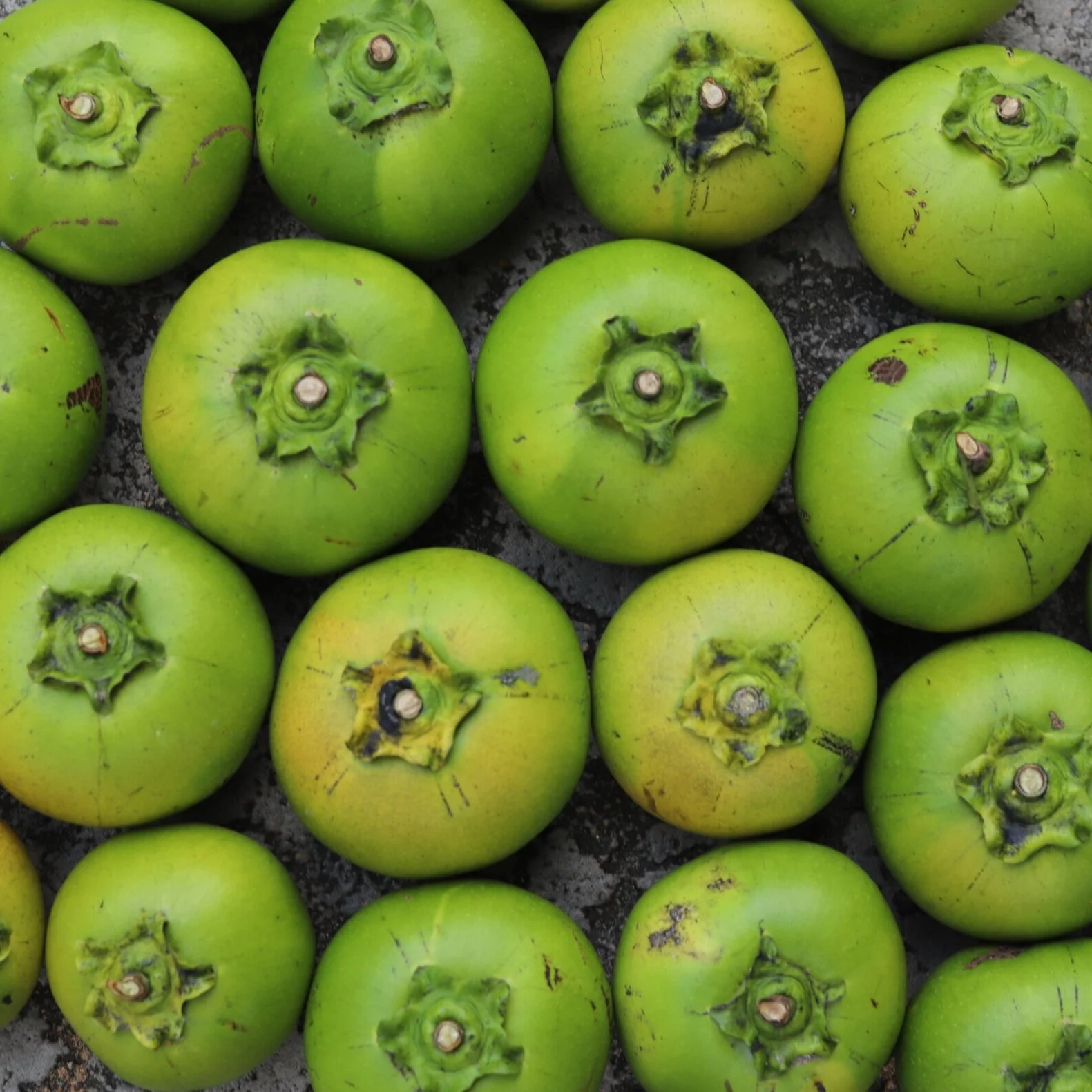 Fruit for Saturday, December 28, 2019