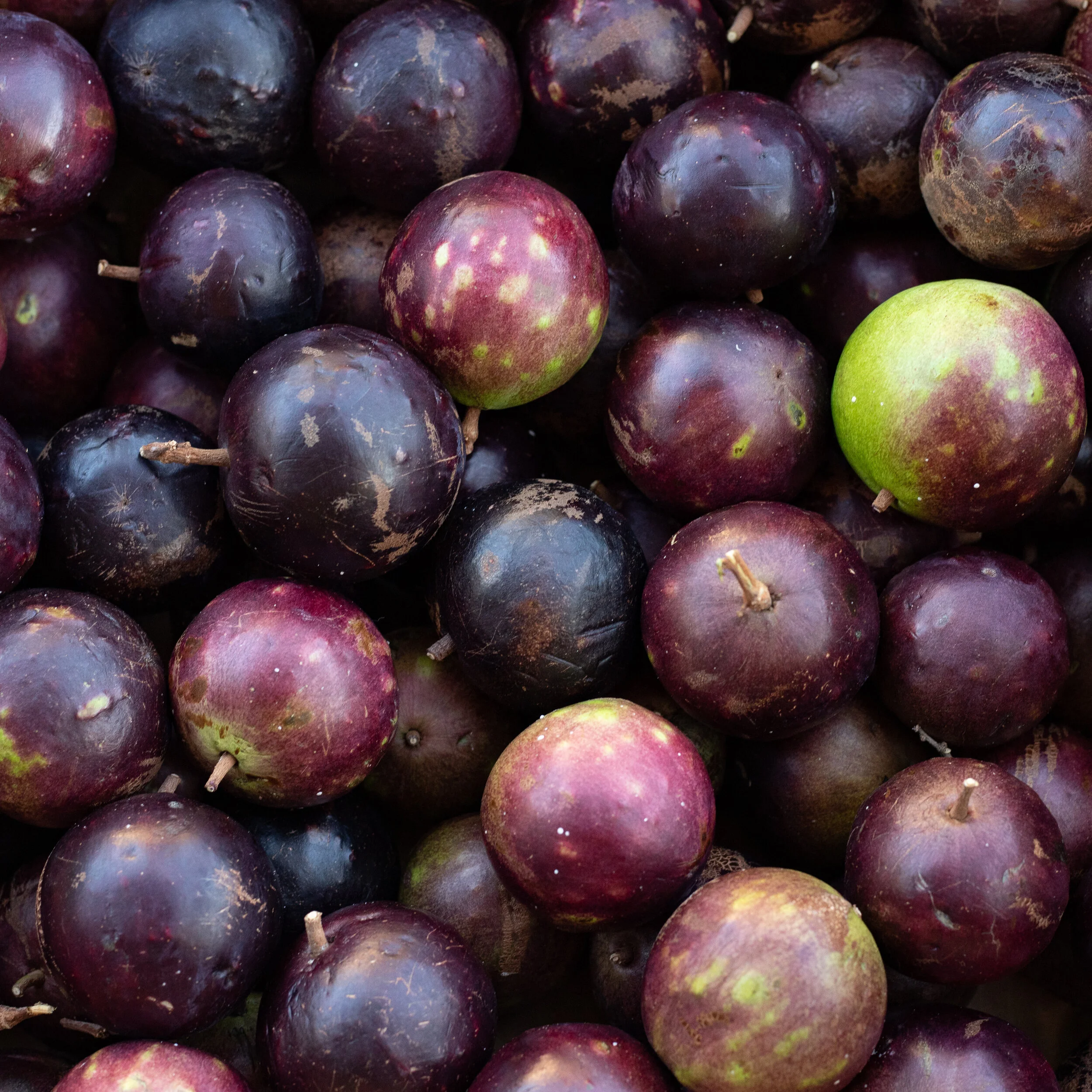 Fruit for Pickup Wednesday, April 1, 2020