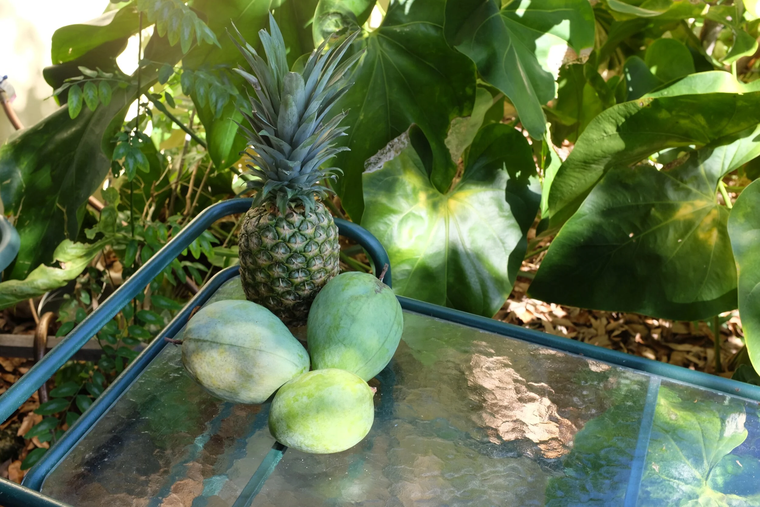DSCF3895.jpg
