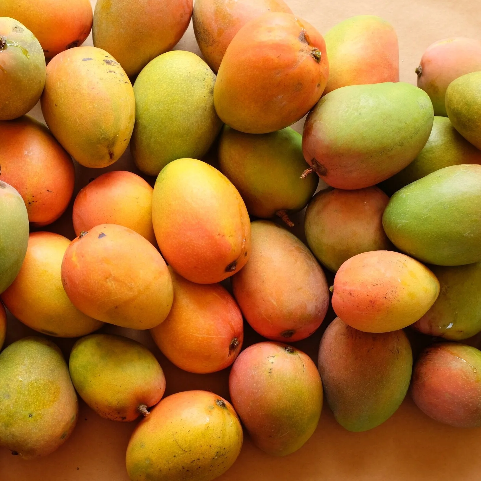 Special Mango Pickup TODAY Monday, June 22, 2020