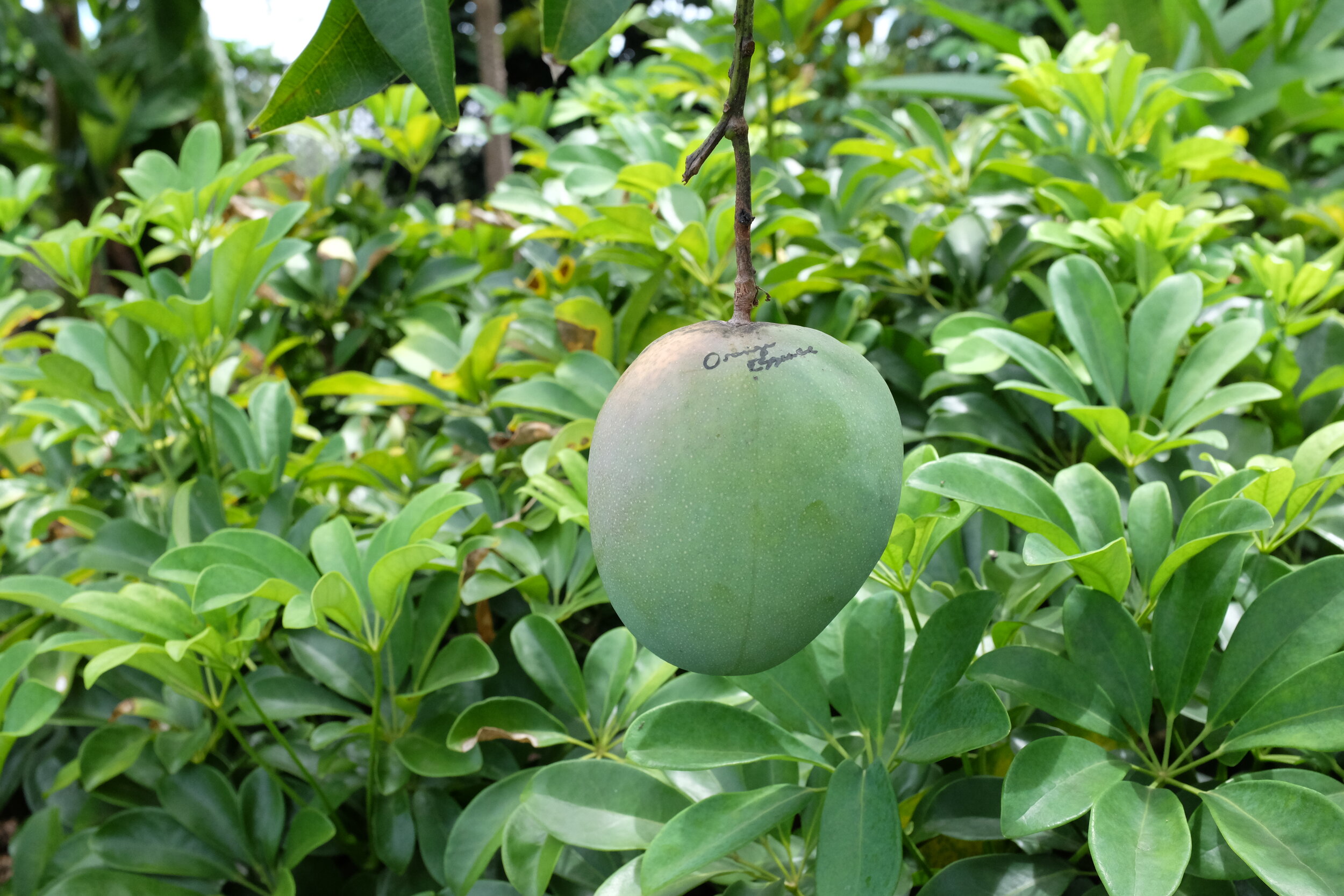 DSCF5633.JPG