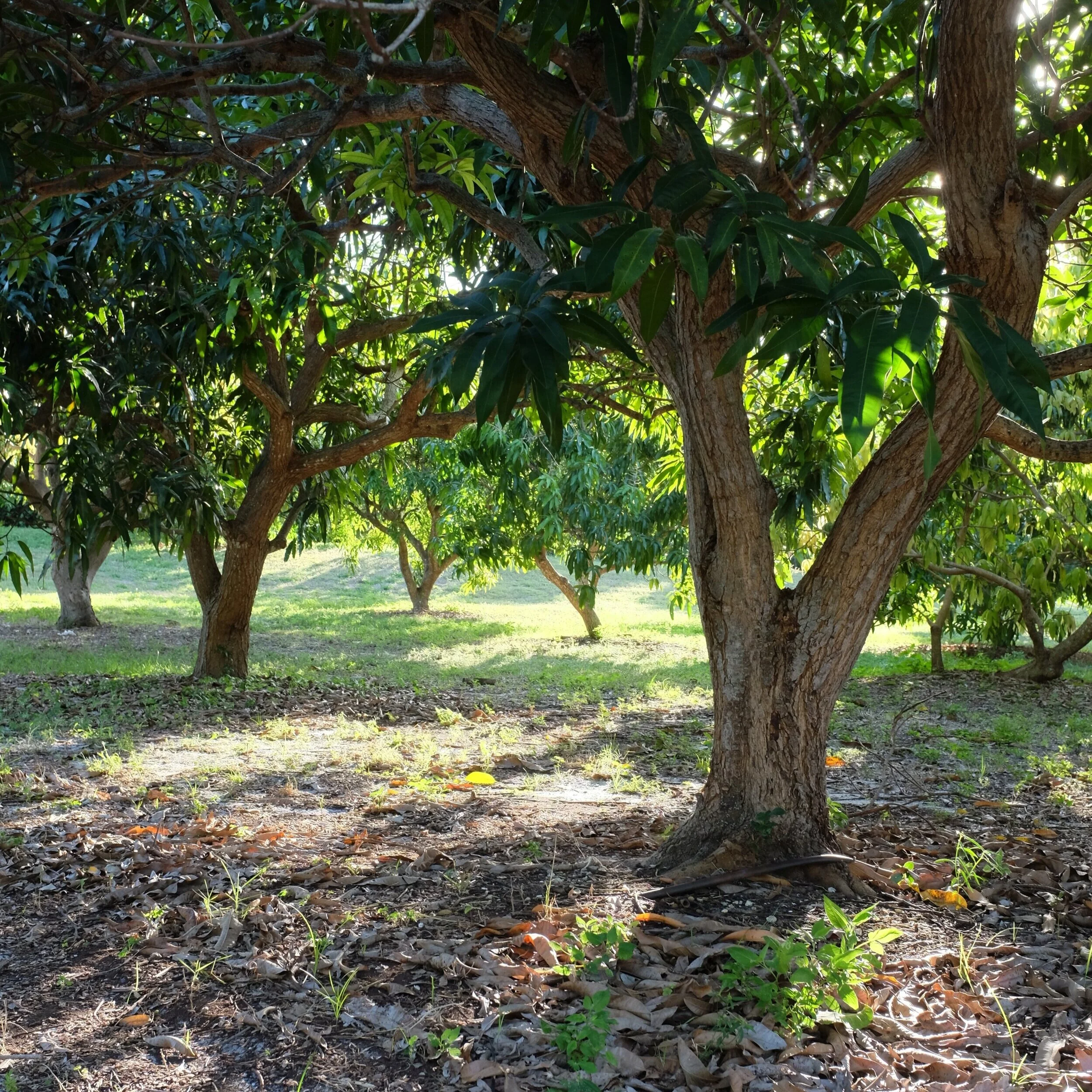 Hours for the week of August 10, 2020