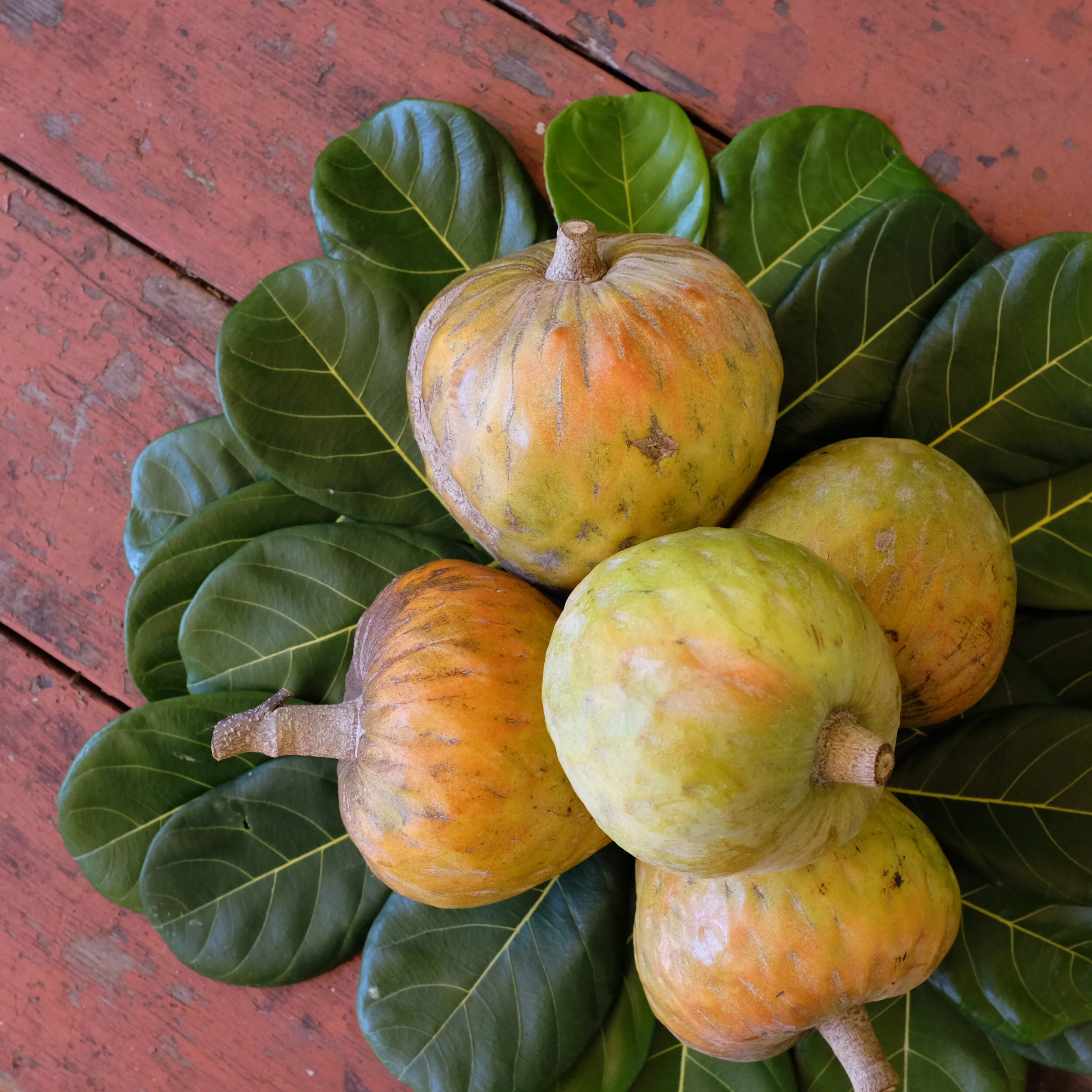 Fruit for Saturday, March 6, 2021