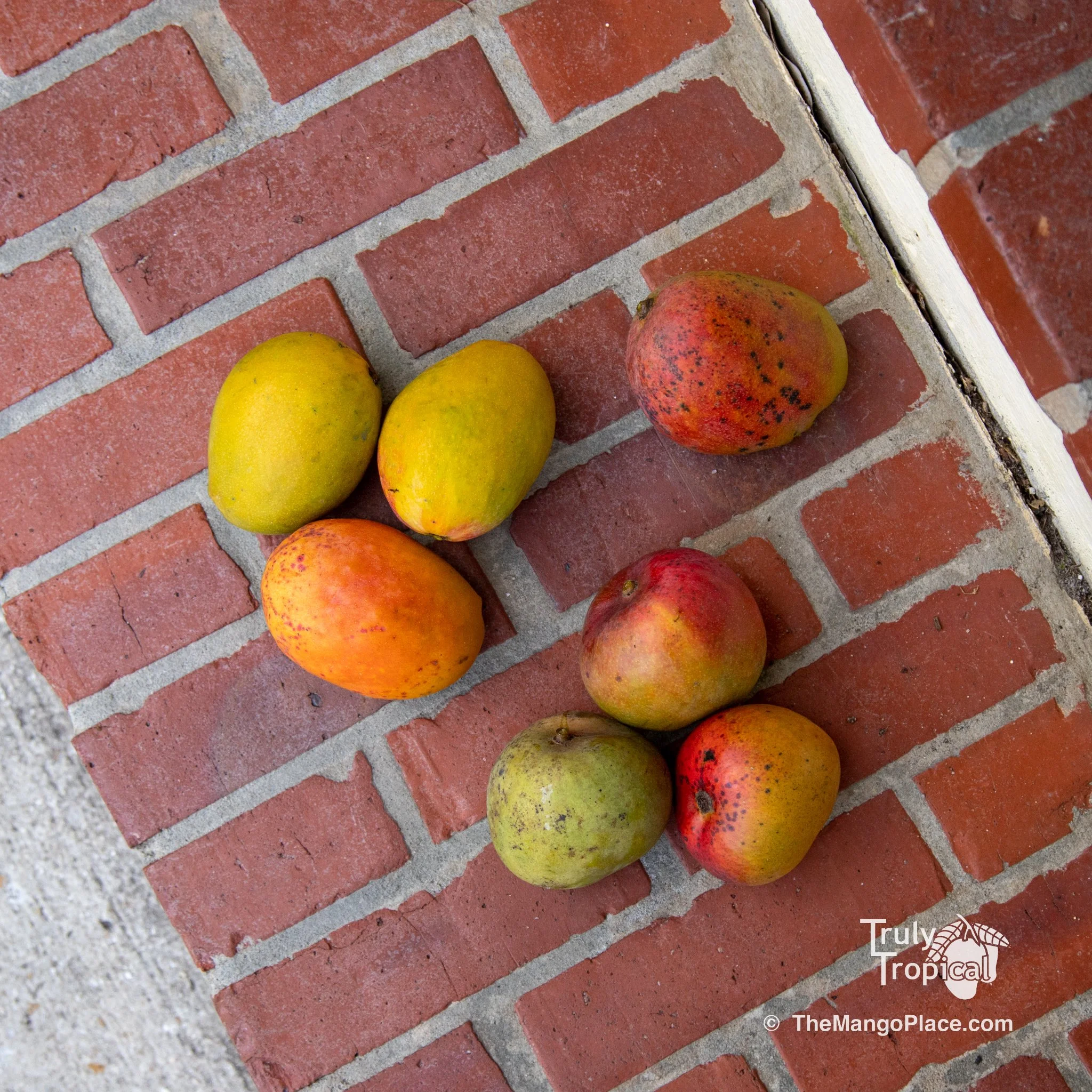 Fruit for Saturday, May 20, 2023