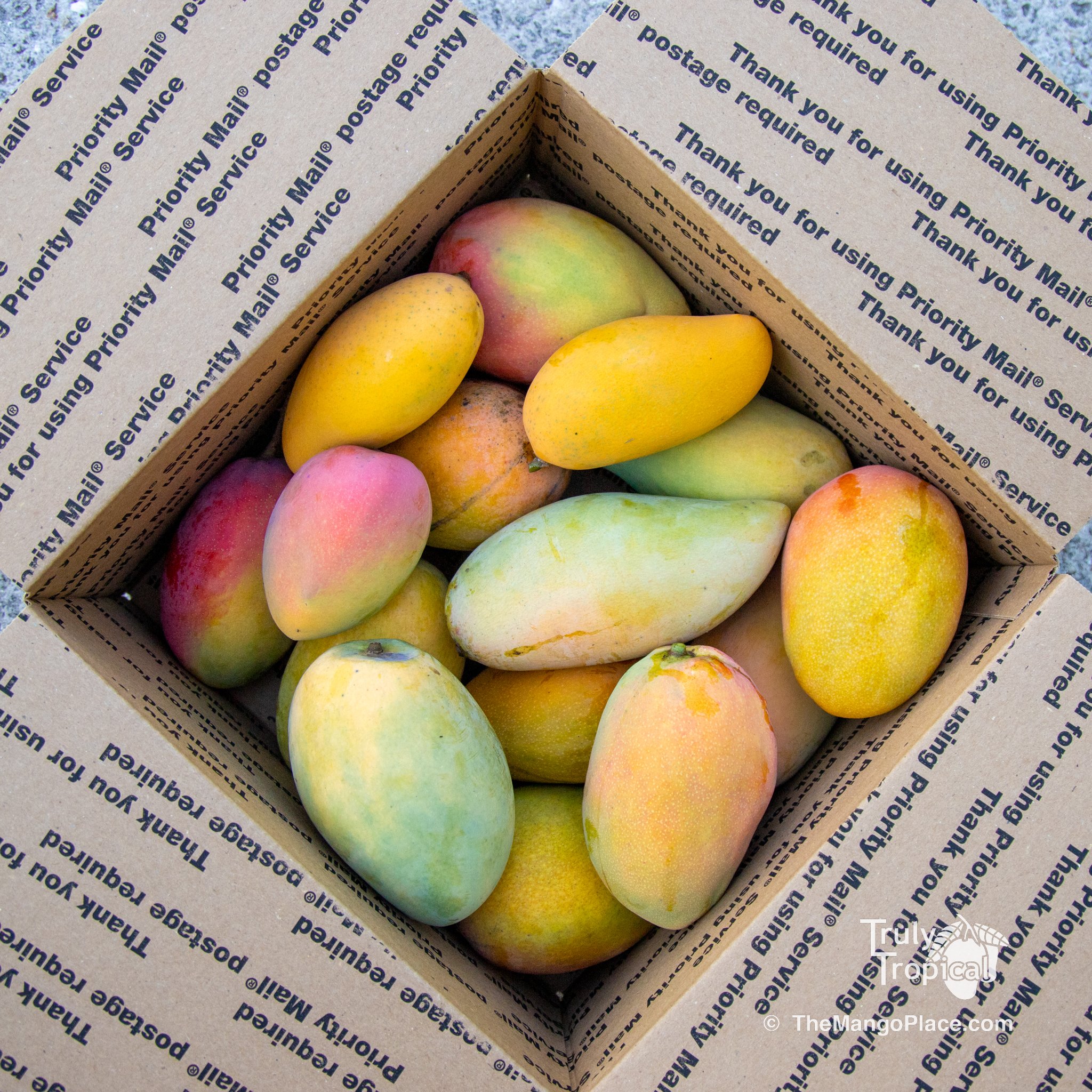 Mango - Assortment - Special Fruit