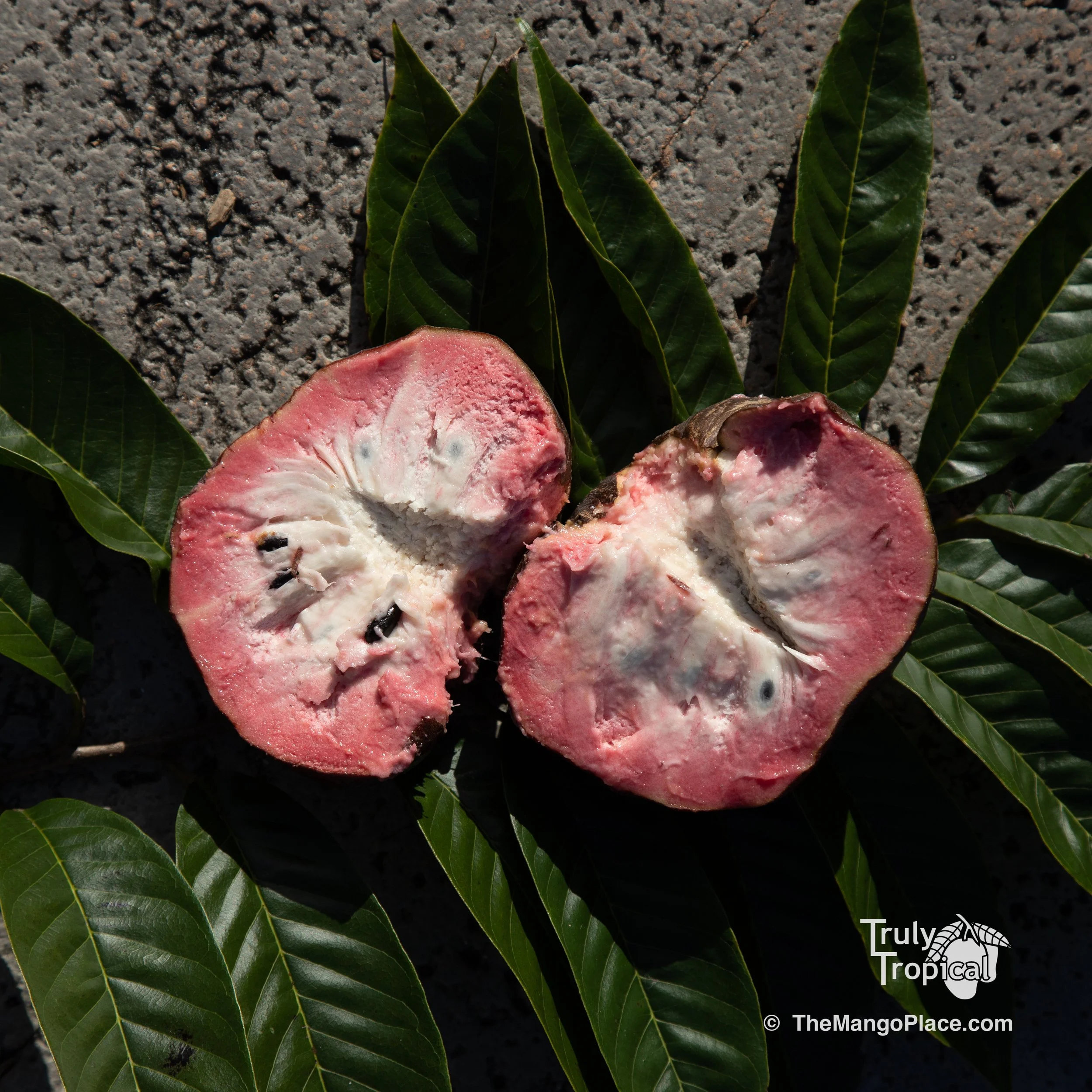 Fruit for Saturday, March 23, 2024 