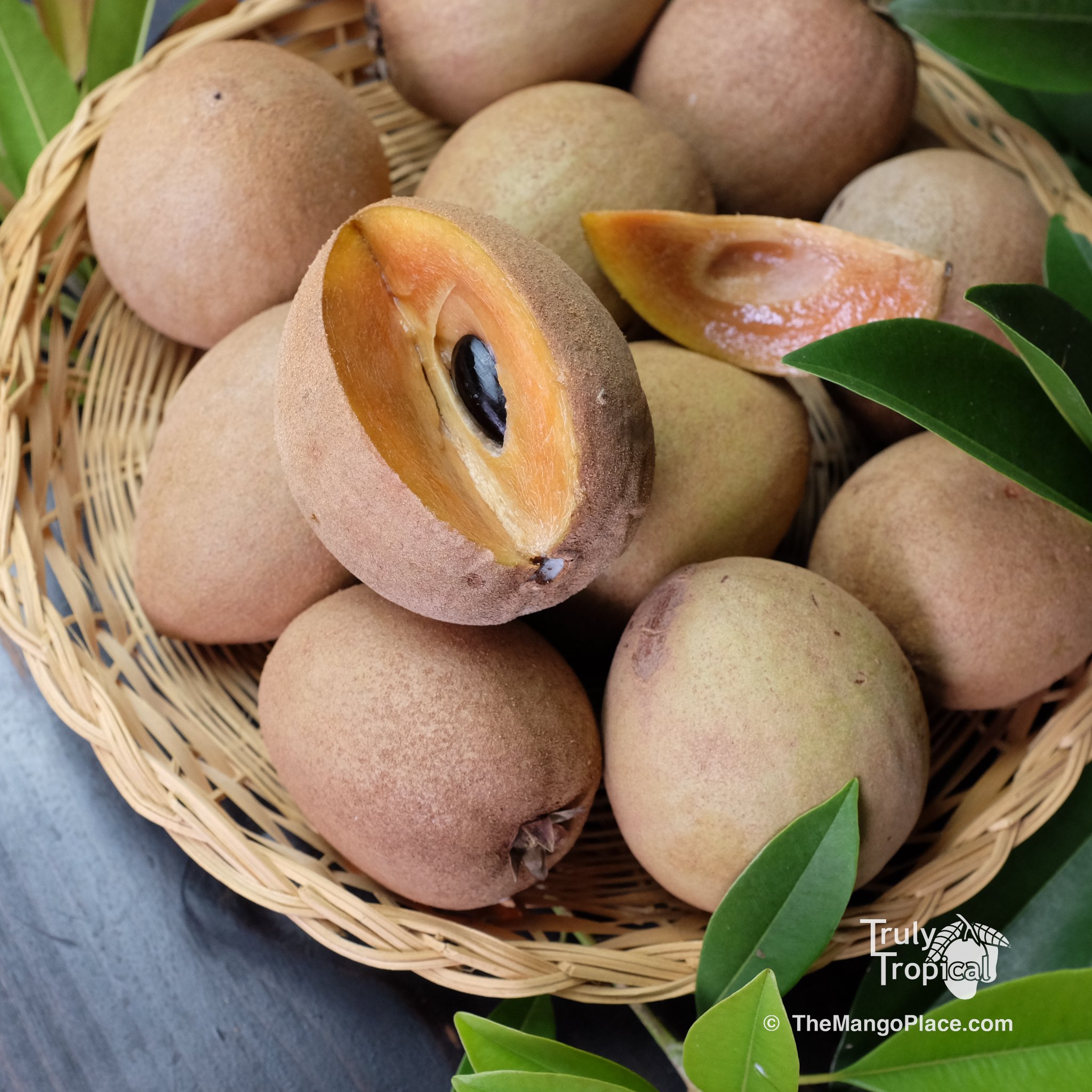 Fruit for Saturday, February 15, 2025