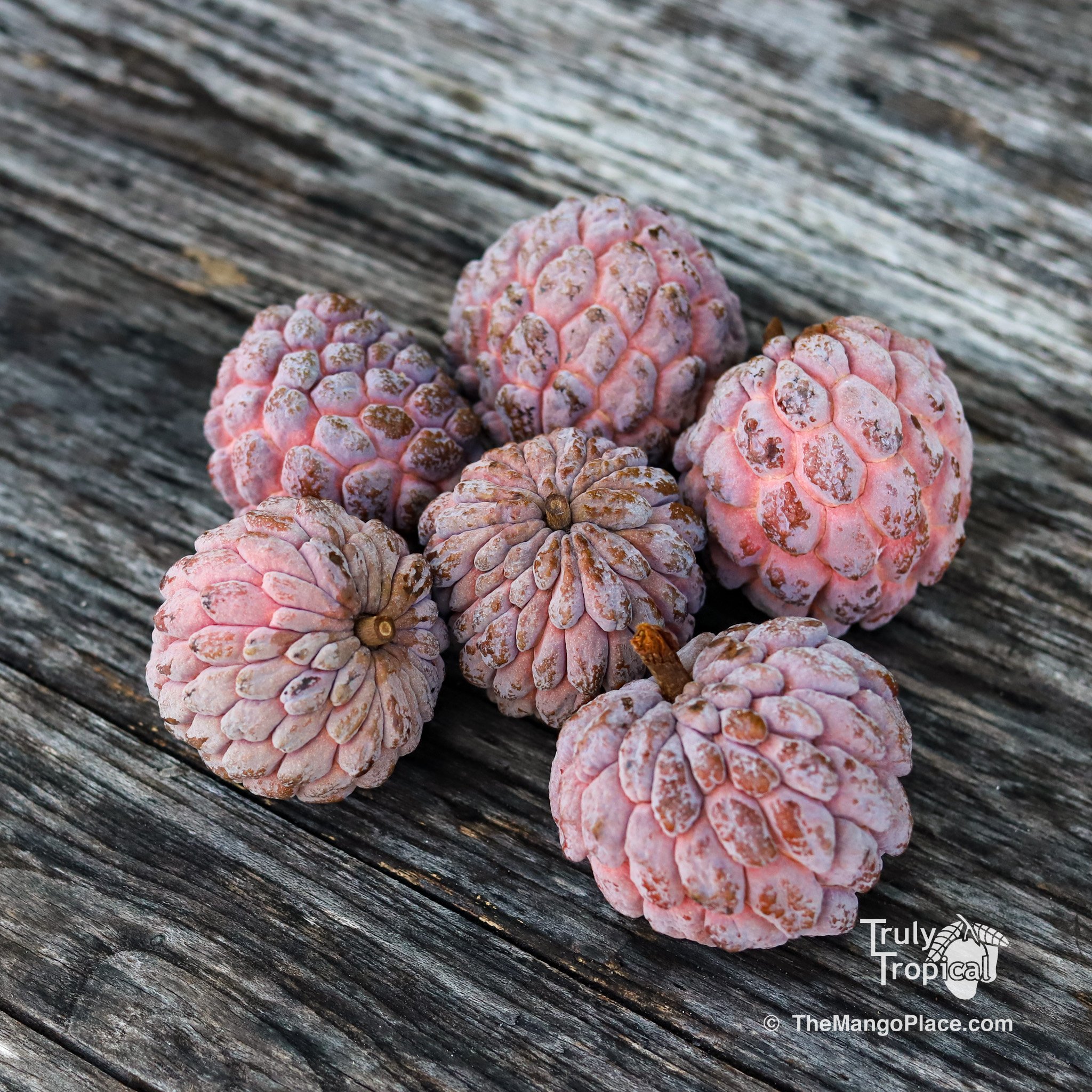 Fruit for Saturday, November 8, 2025