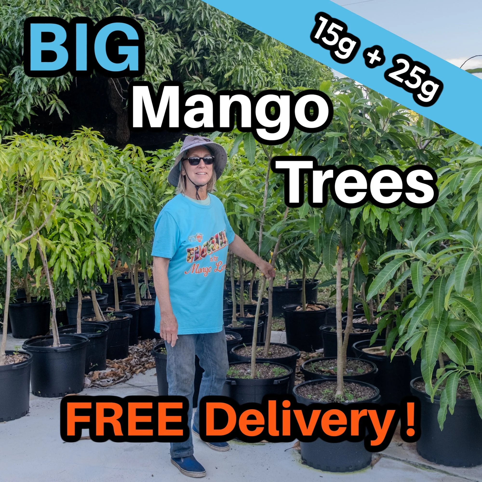 FREE* 15- and 25-gallon Mango Tree Delivery 