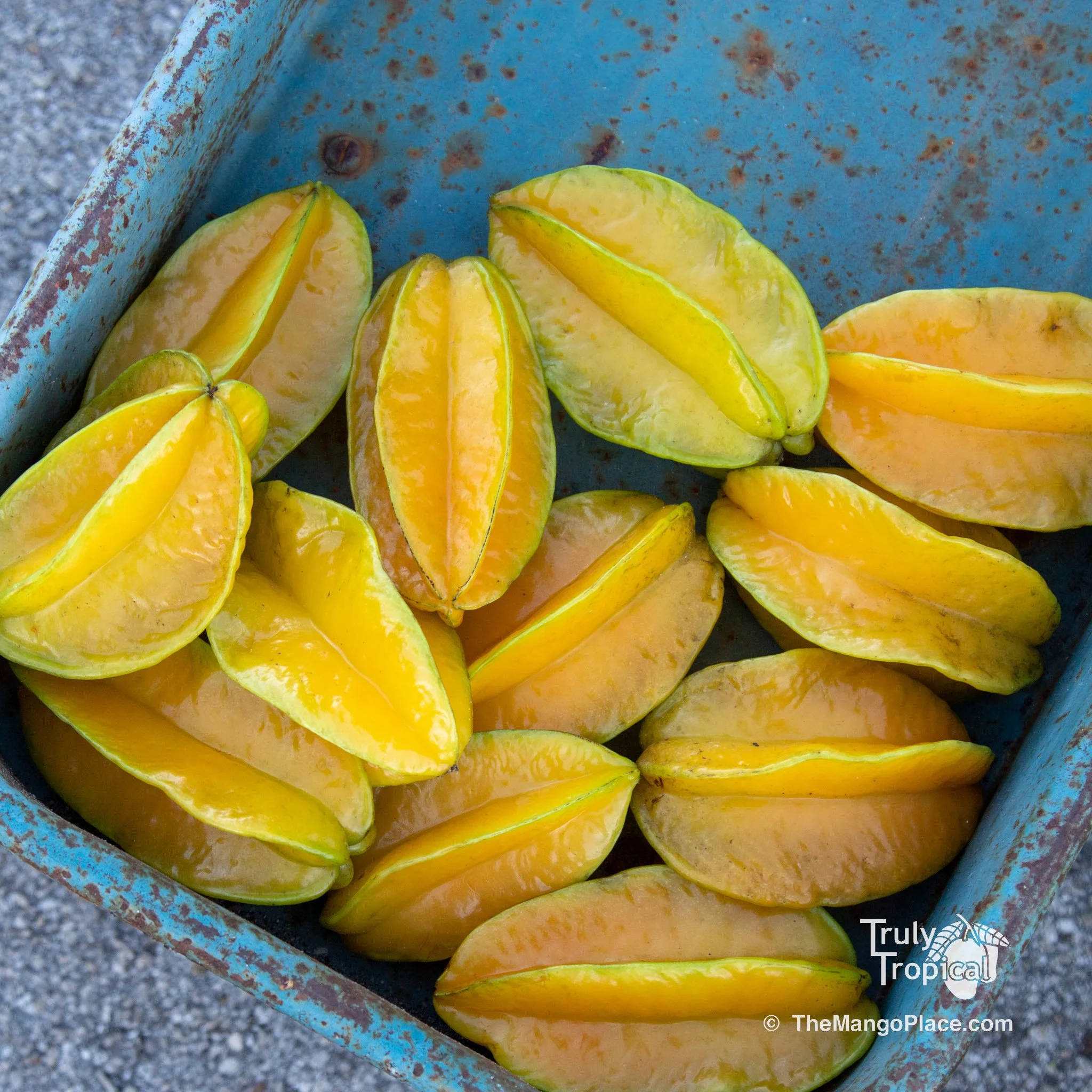 Fruit for Saturday, November 29, 2025