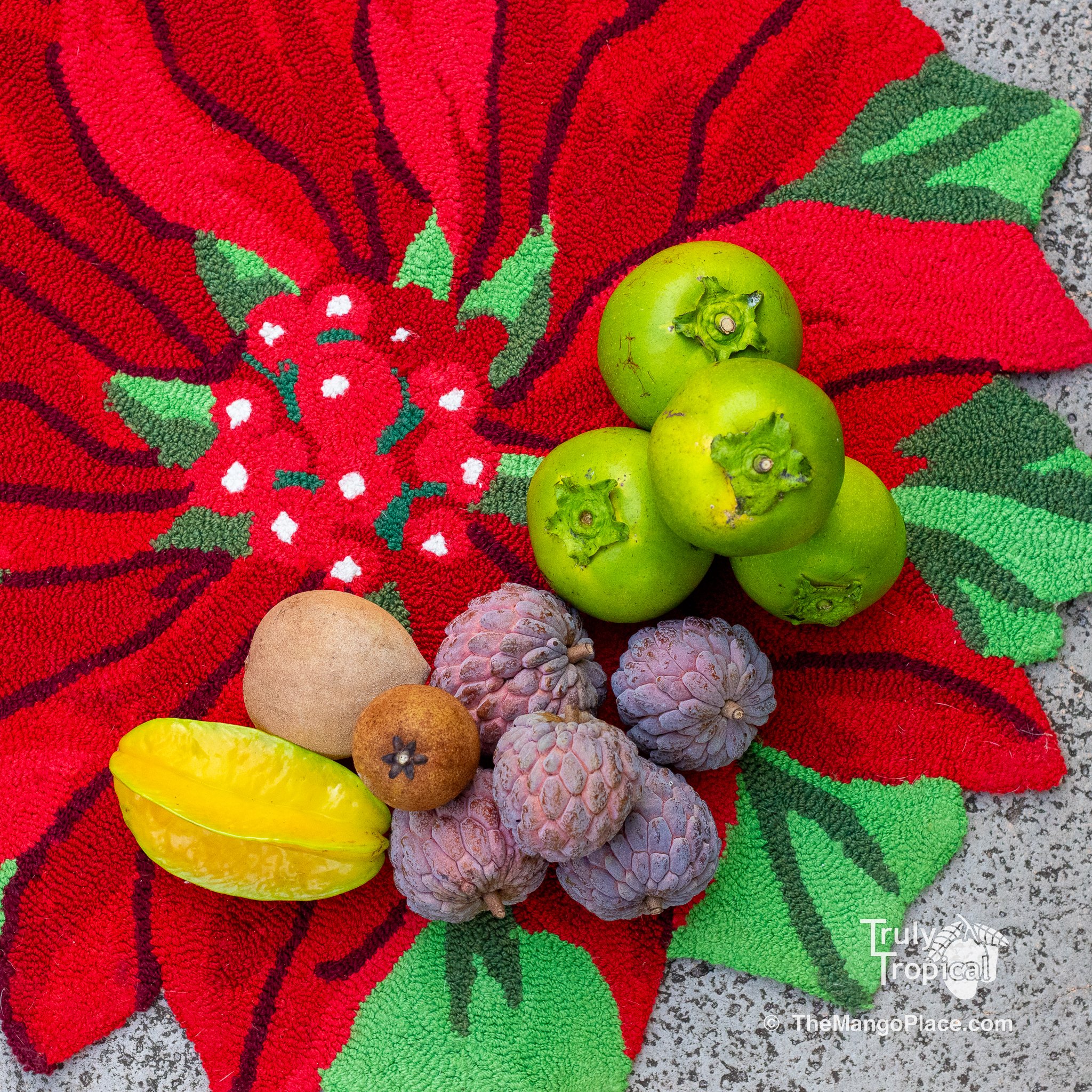 Fruit for Saturday, December 13, 2025