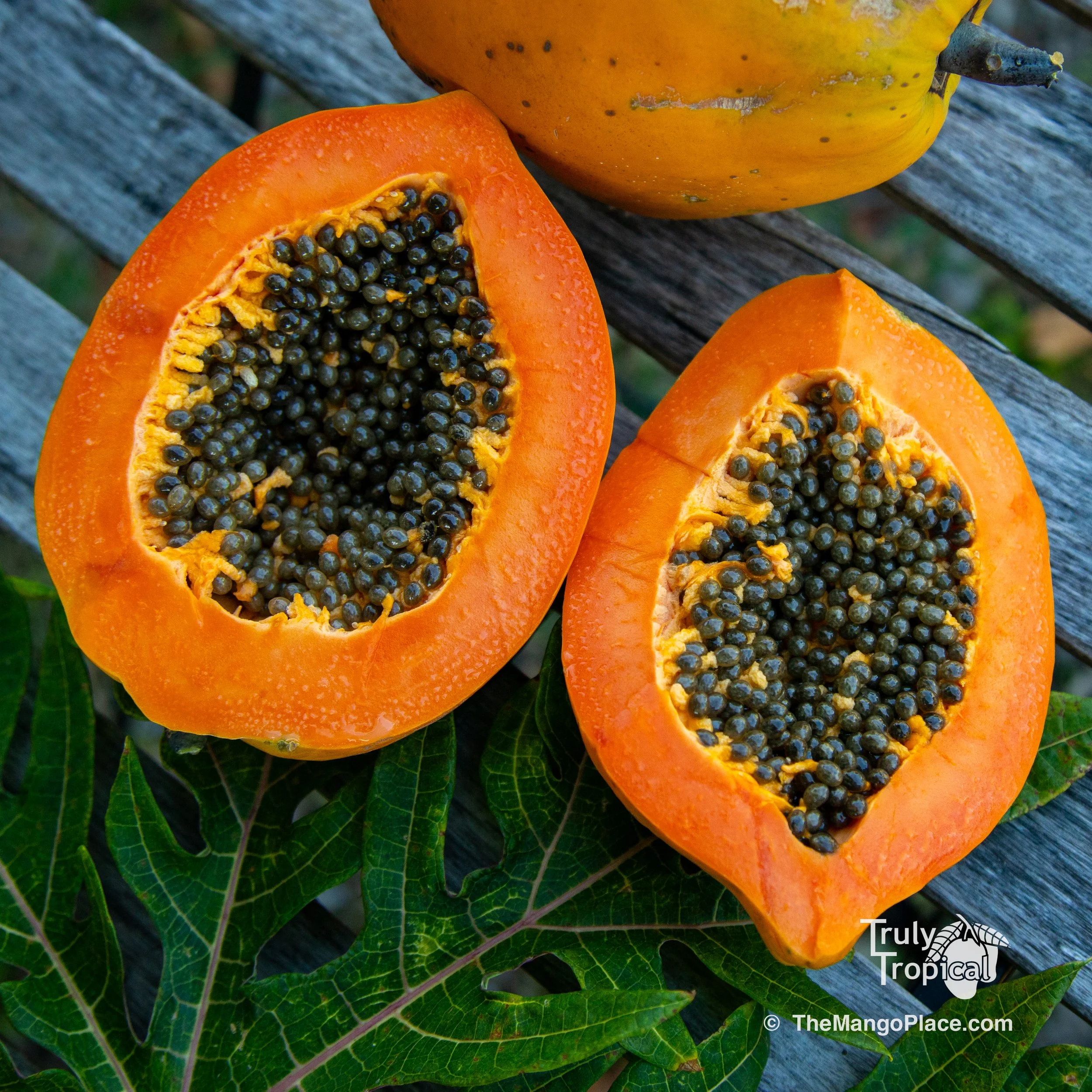 Fruit for Saturday, December 27, 2025