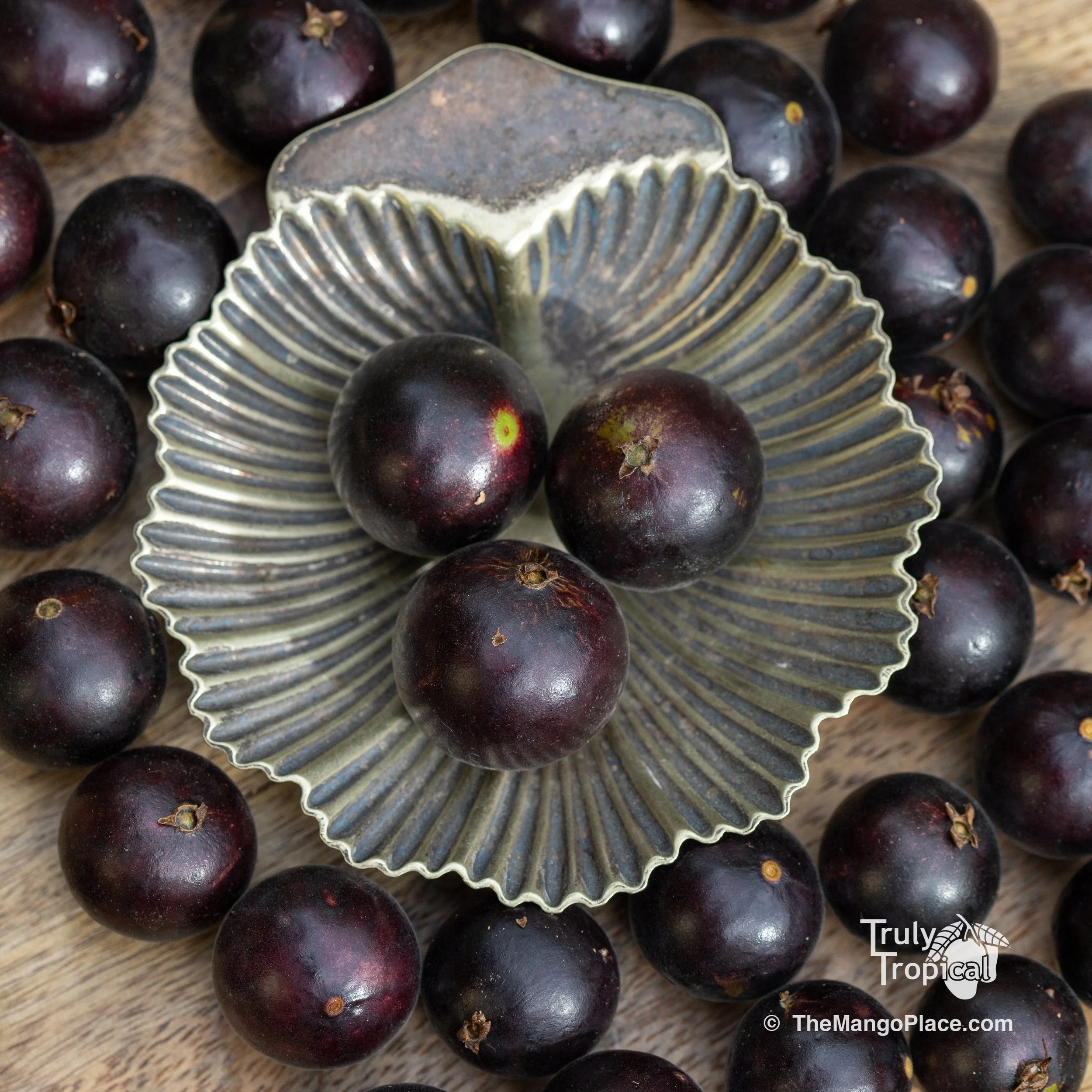 Fruit for Saturday, April 11. 2026