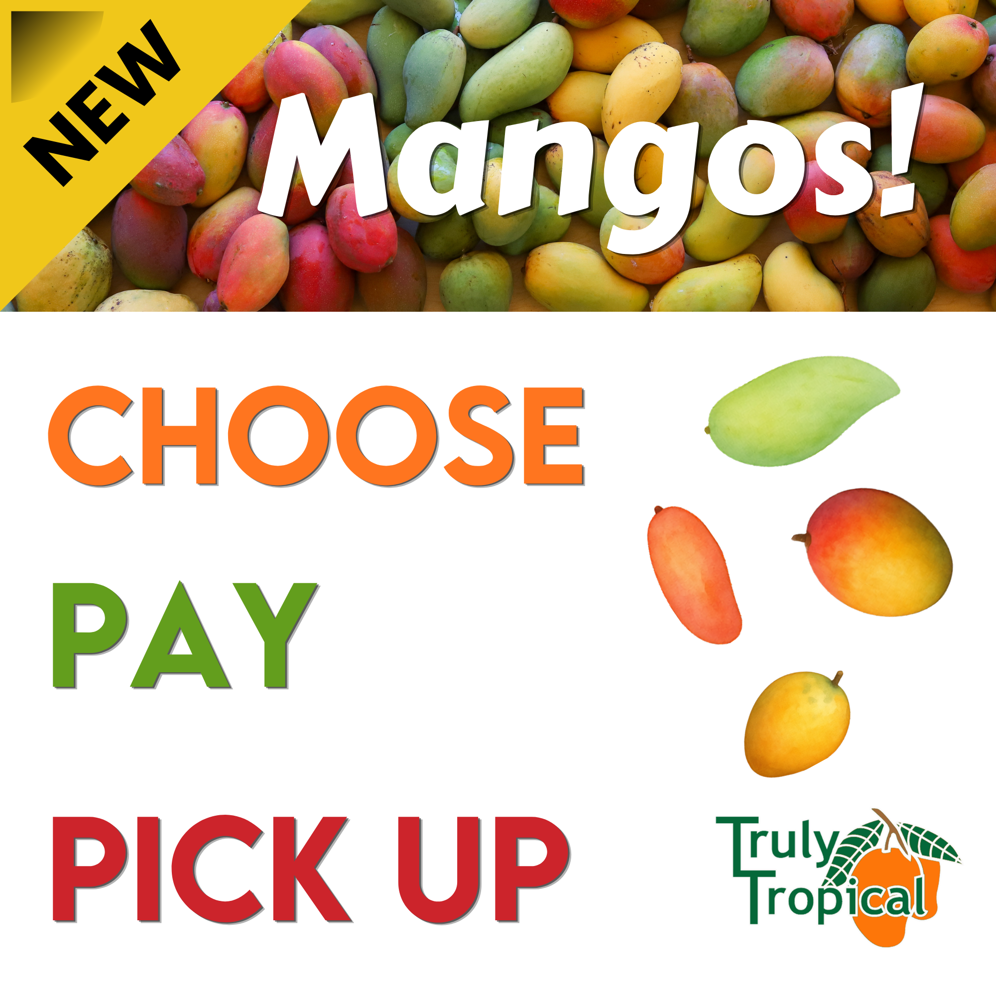 Changes for Mango Season 2026