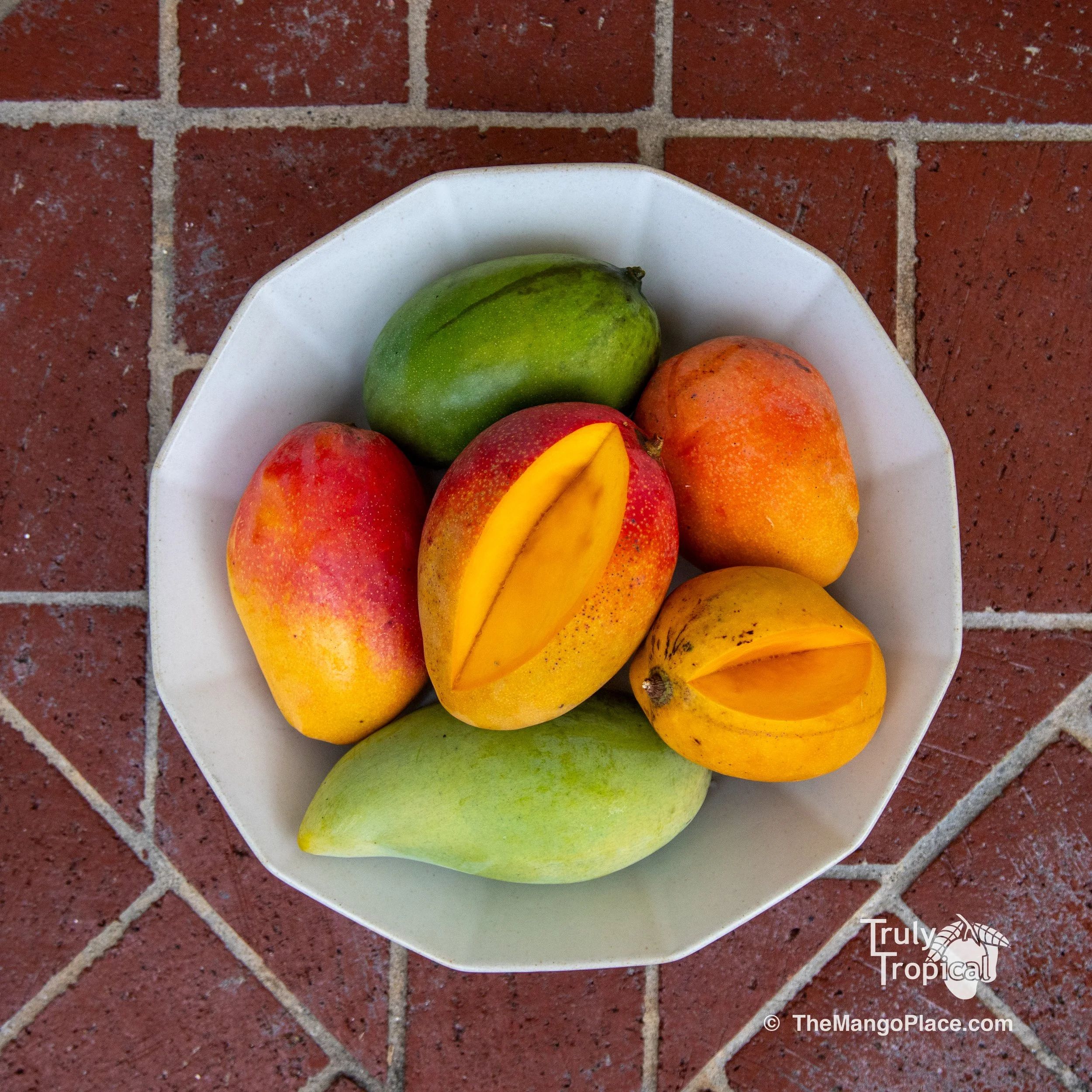 Mangos for Preorder and Pick Up TODAY, Wednesday, May 13, 2026