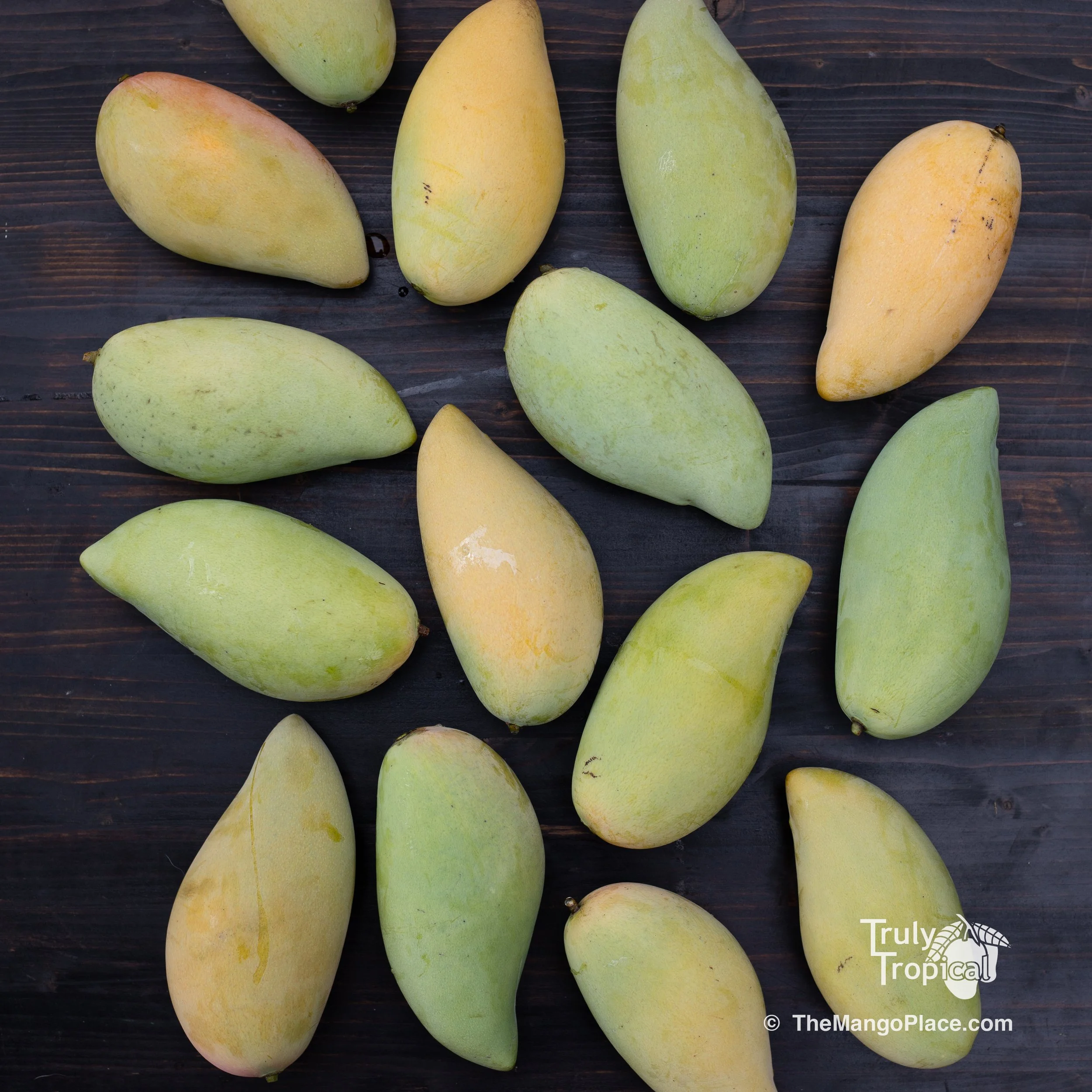 Mangos for Preorder &amp; Pick Up TODAY Wednesday, May 27, 2026