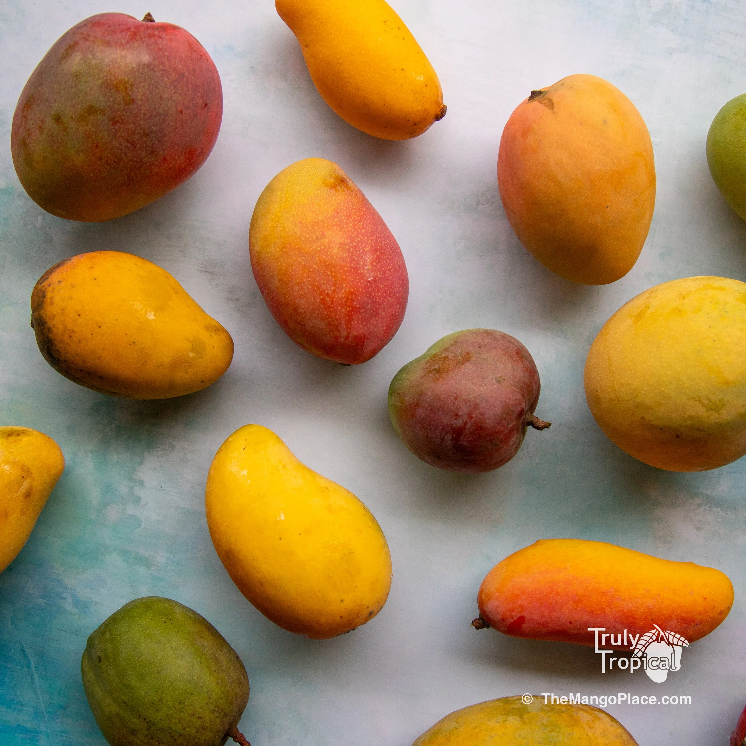 Mangos for Preorder &amp; Pick Up TODAY Monday, June 1, 2026