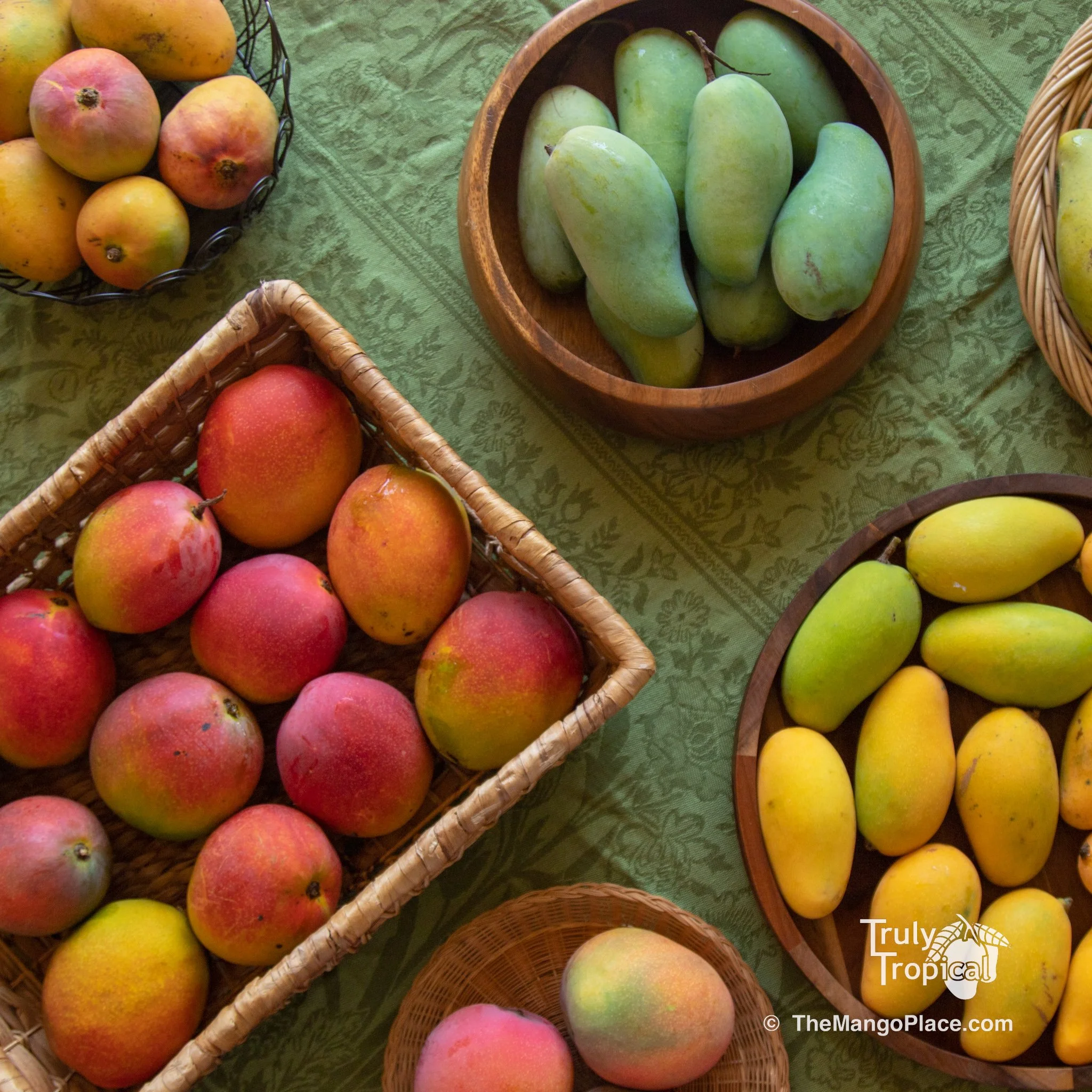 Bulk Mango Orders for TODAY ONLY! 