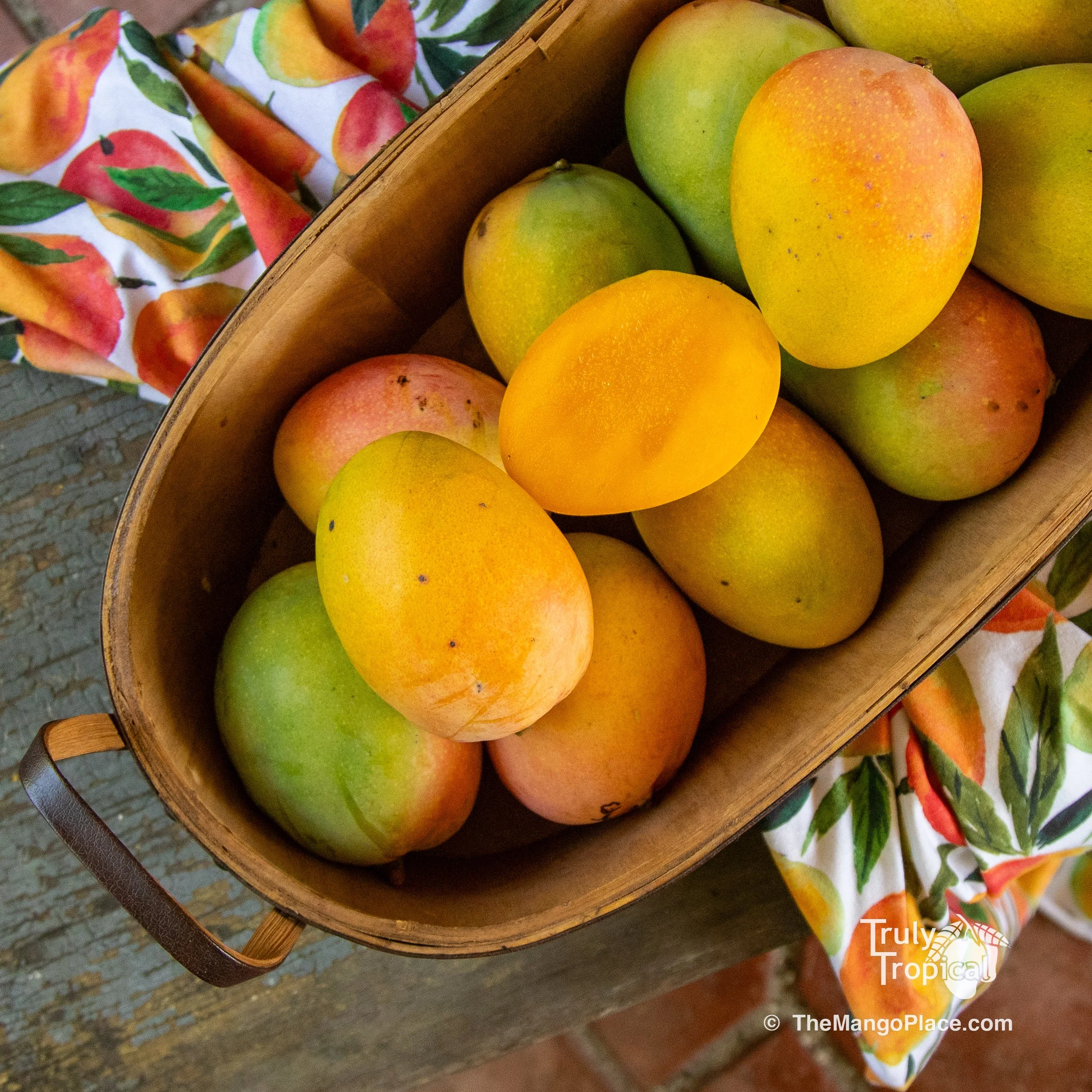 Mangos for Preorder &amp; Pick Up Wednesday, July 15, 2026