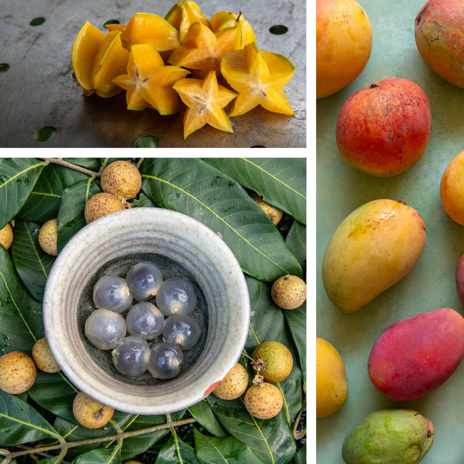 Fruit (including Mangos!) for Saturday, July 25, 2026