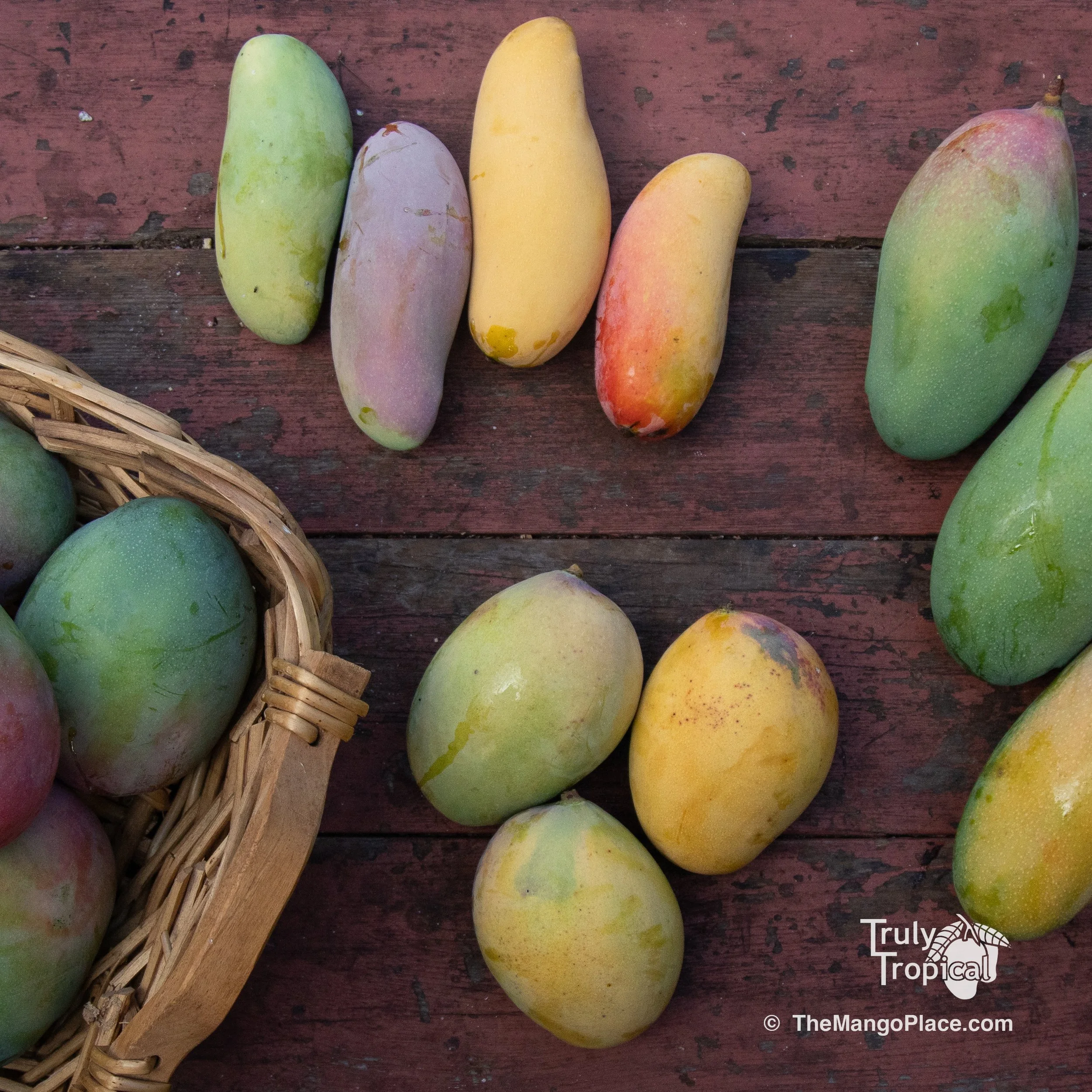 Fruit (including Mangos!) for Saturday, August 1, 2026