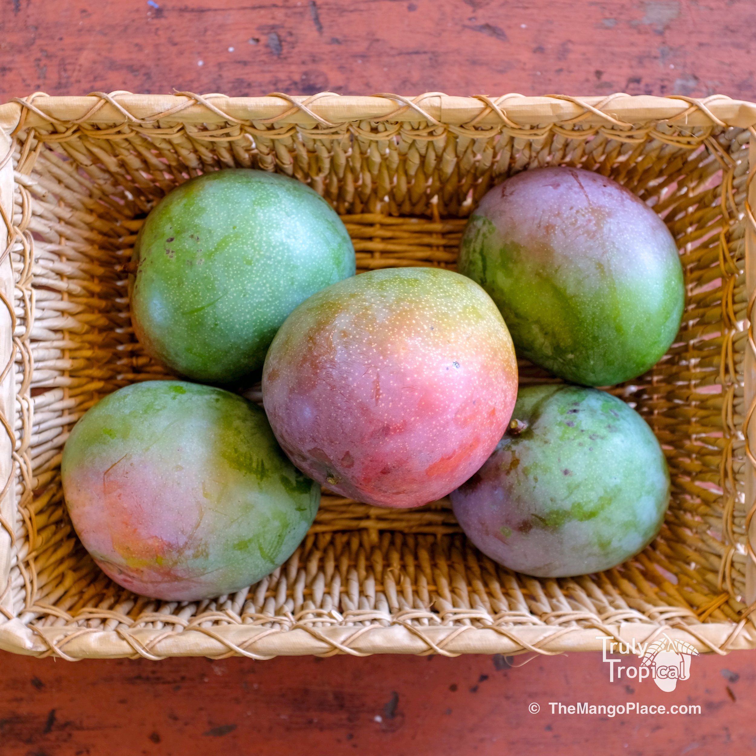 Mangos for Preorder &amp; Pick Up TODAY Wednesday, August 12, 2026