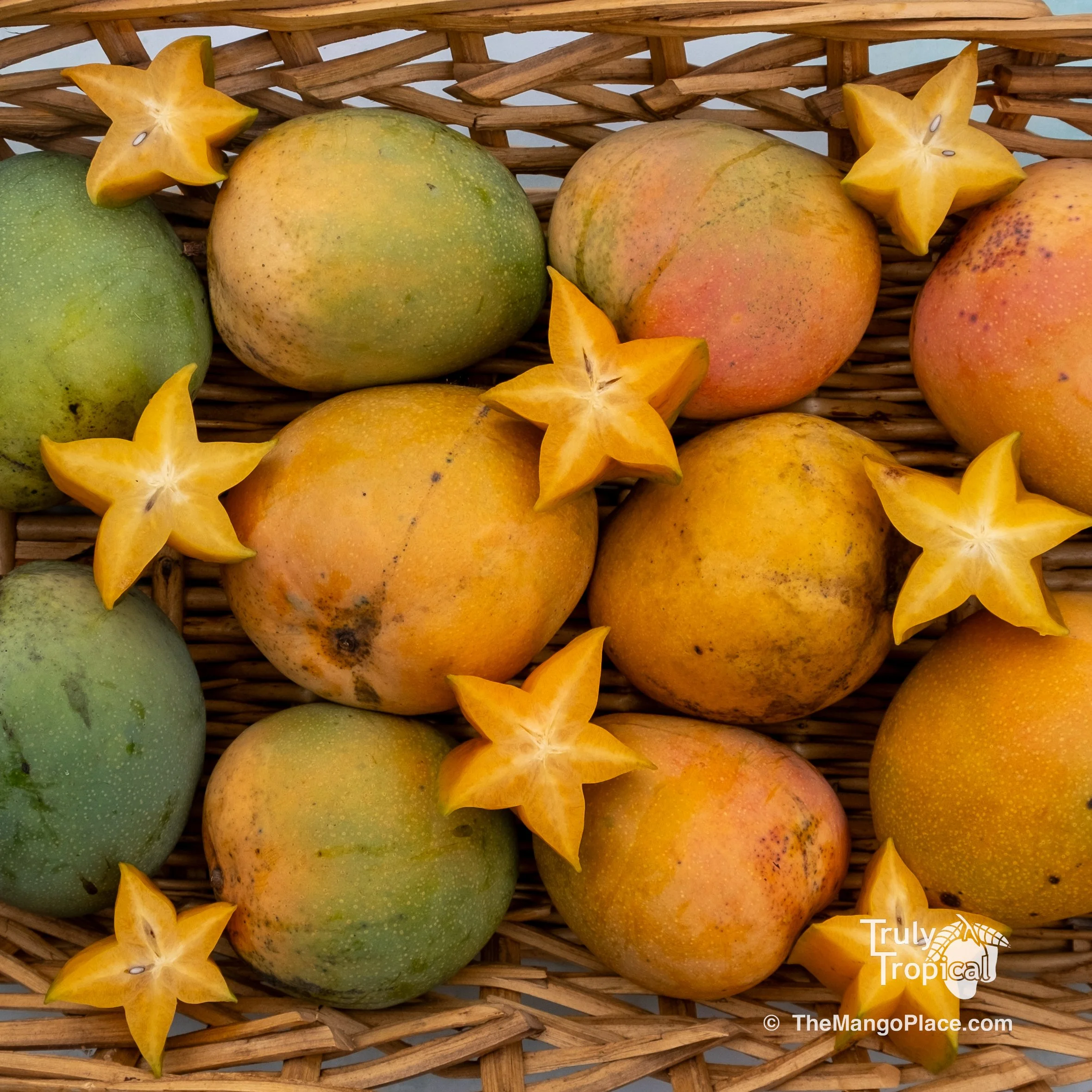 Mangos for TODAY Wednesday, August 19, 2026