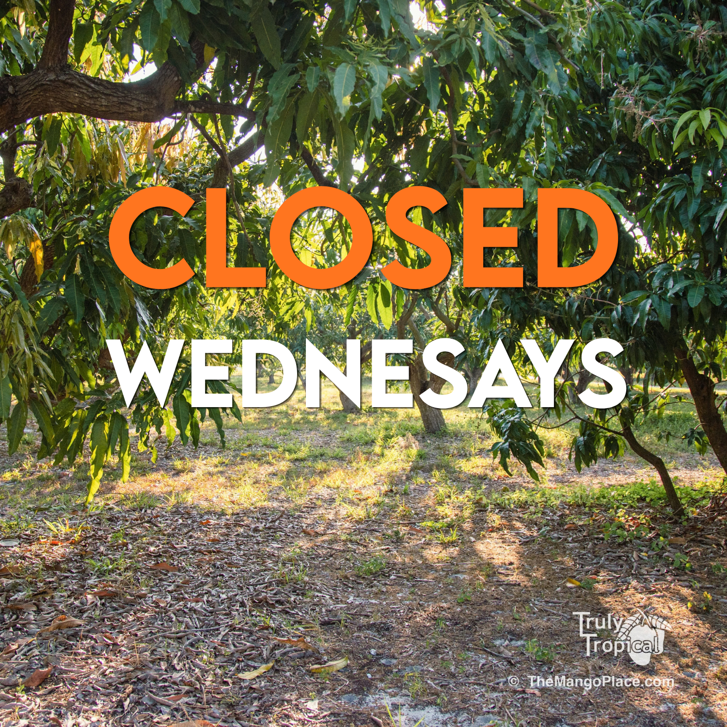 CLOSED Wednesday, September 16, 2026
