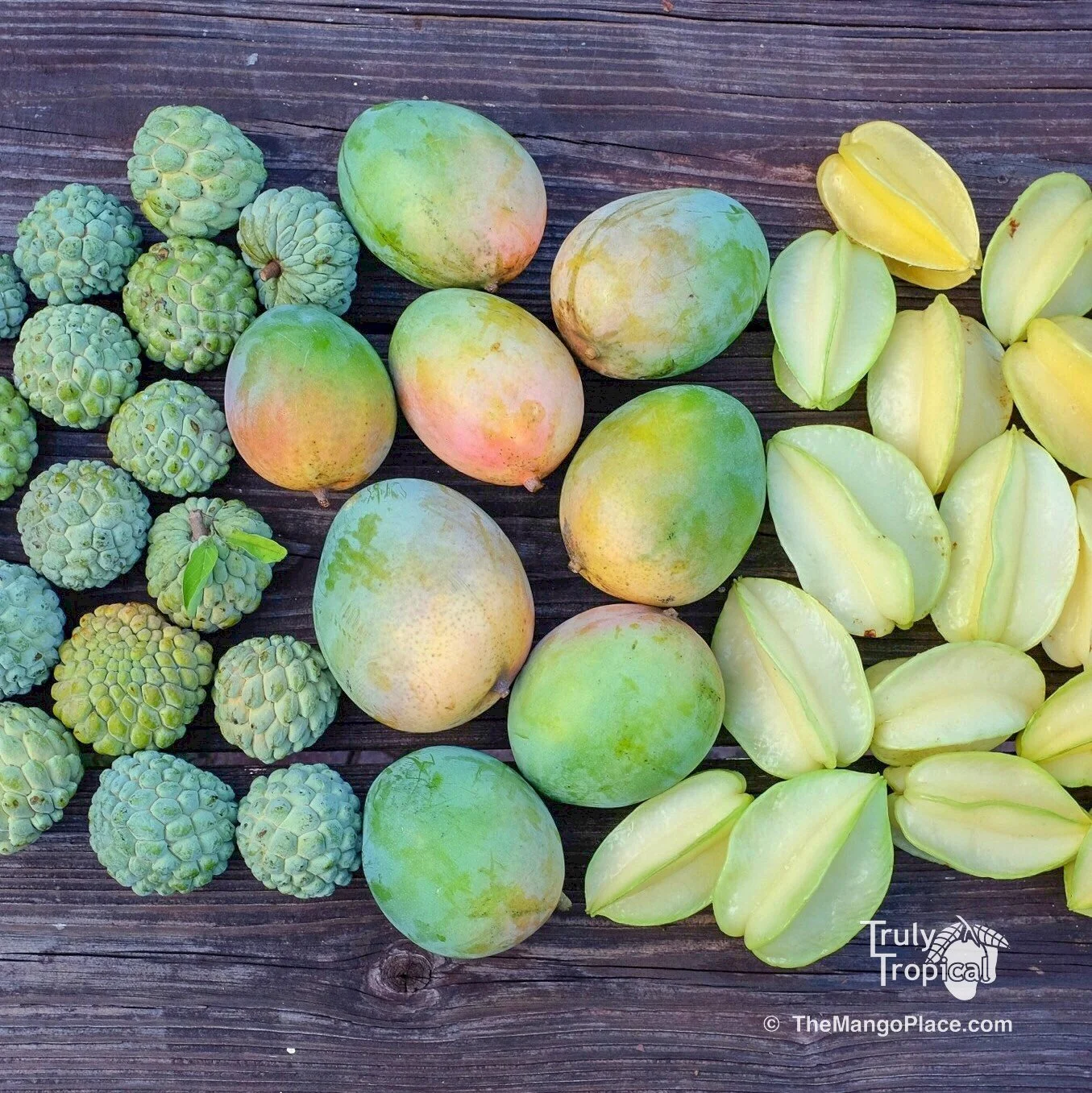 Fruit for Saturday, September 19, 2026